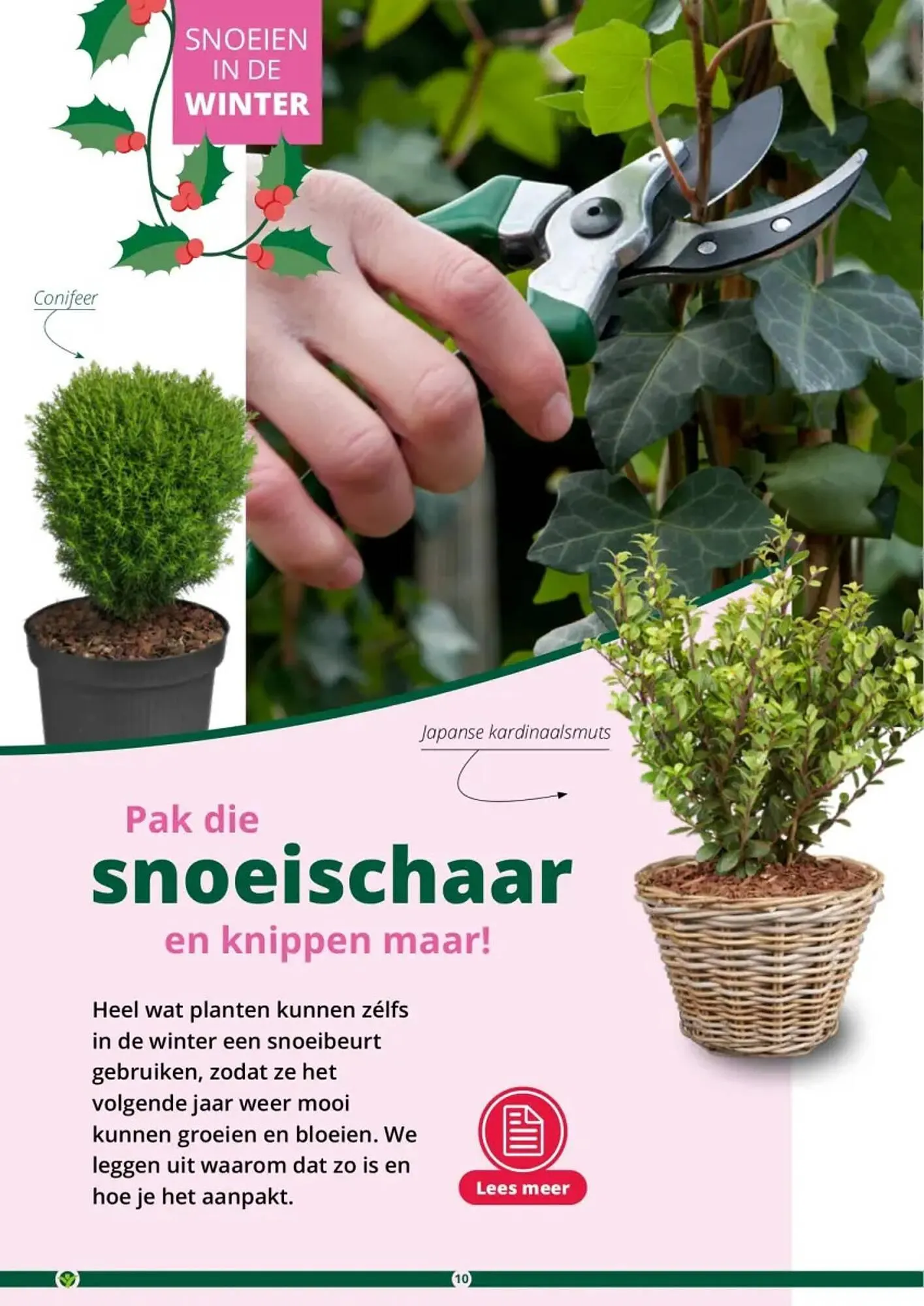 GroenRijk folder van 1 november tot 26 december 2023 - Folder pagina 10