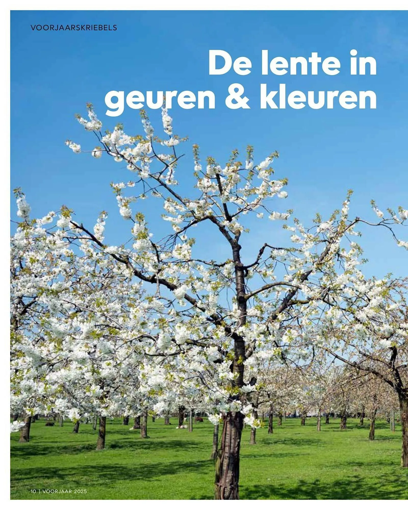 Vakgarage folder van 28 maart tot 30 april 2025 - Folder pagina 10