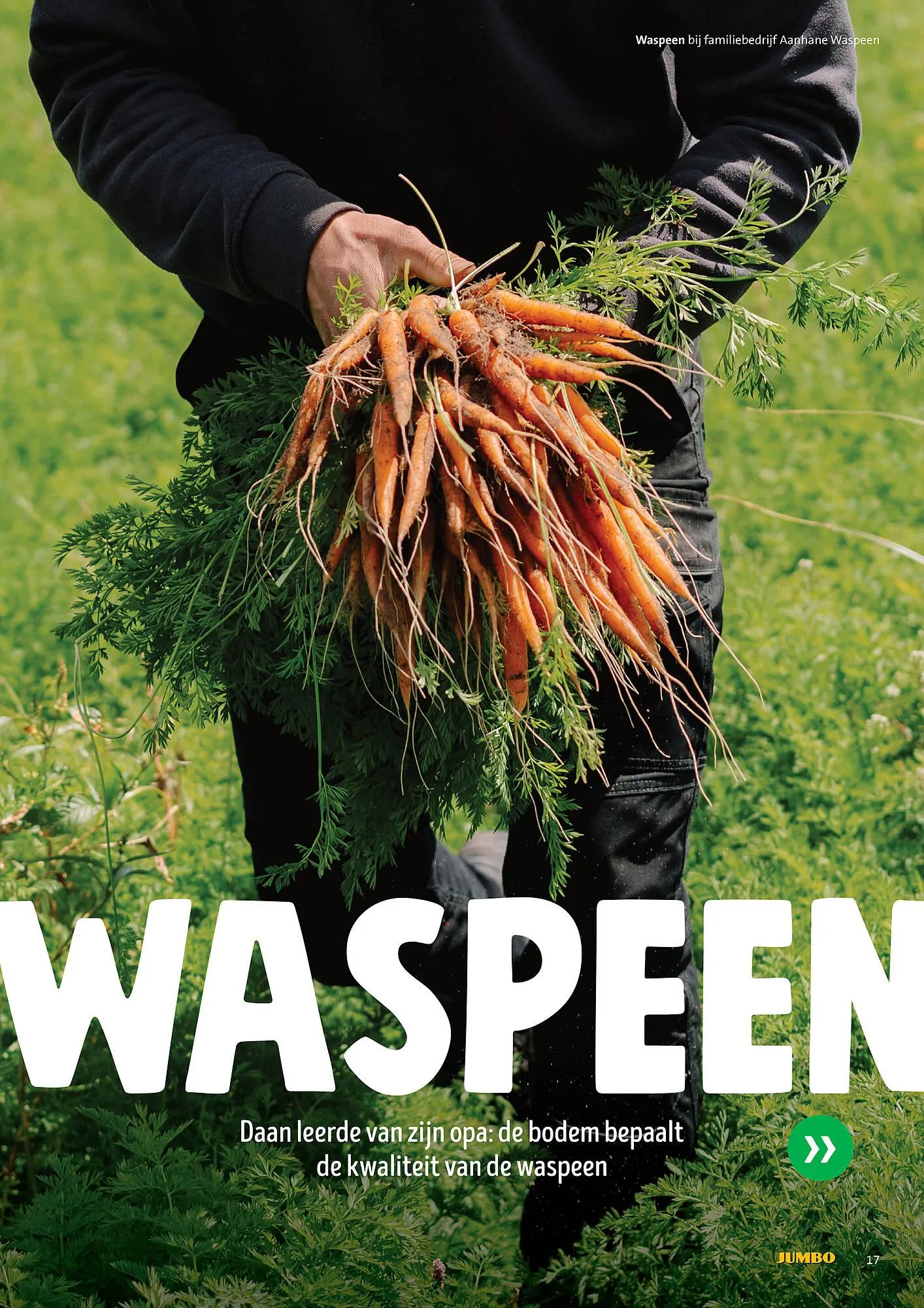 Jumbo folder van 30 juni tot 7 juli 2025 - Folder pagina 17