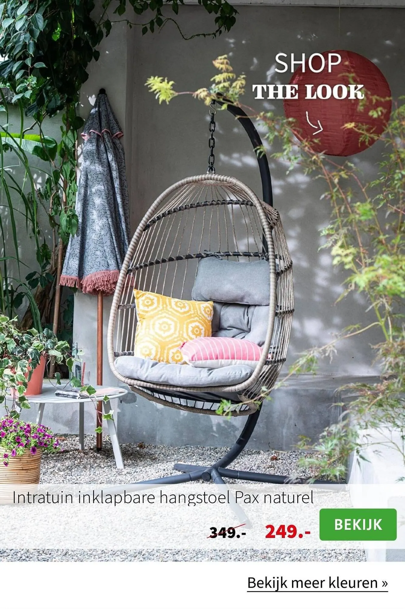 Intratuin folder van 22 maart tot 13 augustus 2023 - Folder pagina 46