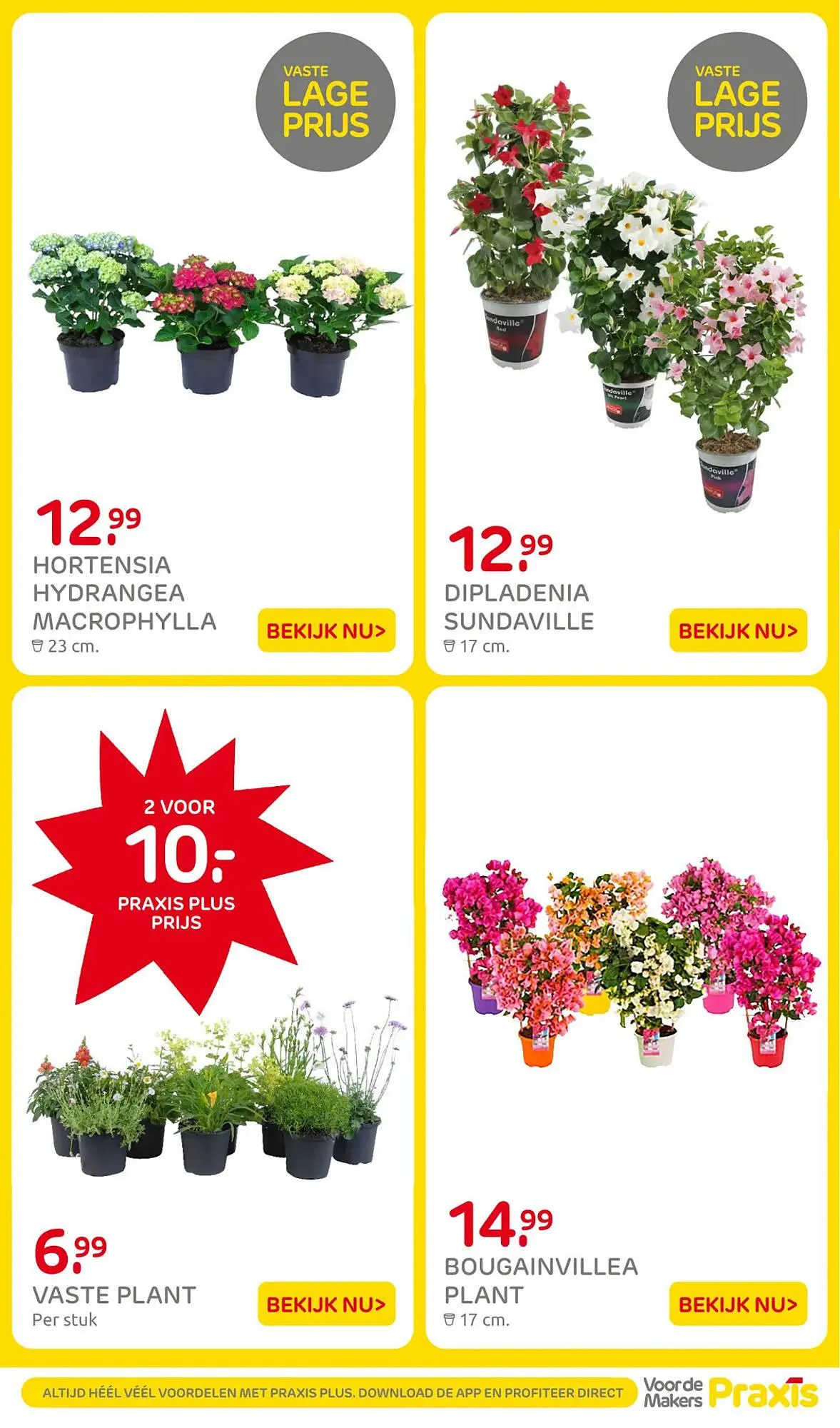 Praxis folder van 28 april tot 3 mei 2026 - Folder pagina 3