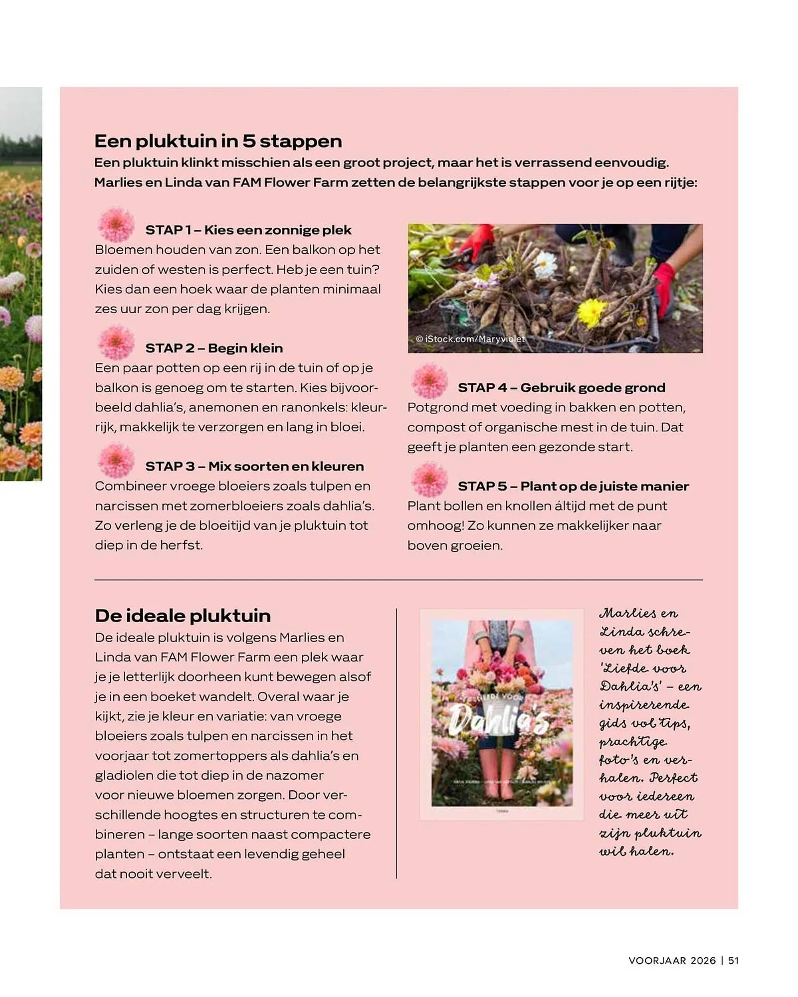 Vakgarage folder van 21 april tot 31 mei 2026 - Folder pagina 51