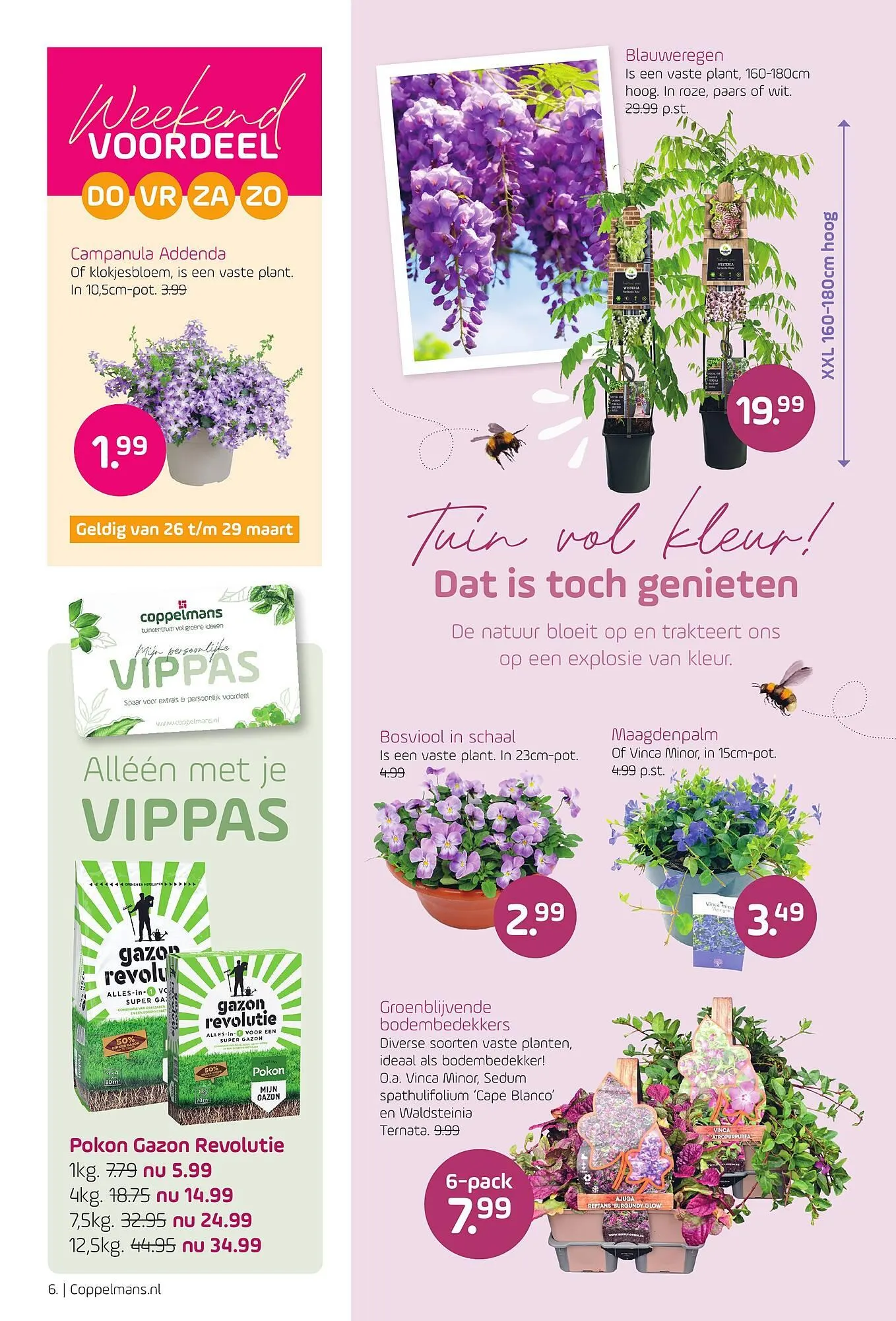 Coppelmans folder van 18 maart tot 29 maart 2026 - Folder pagina 6