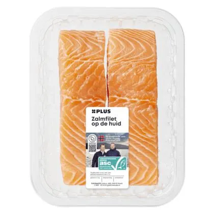 Zalmfilet op huid 2 porties