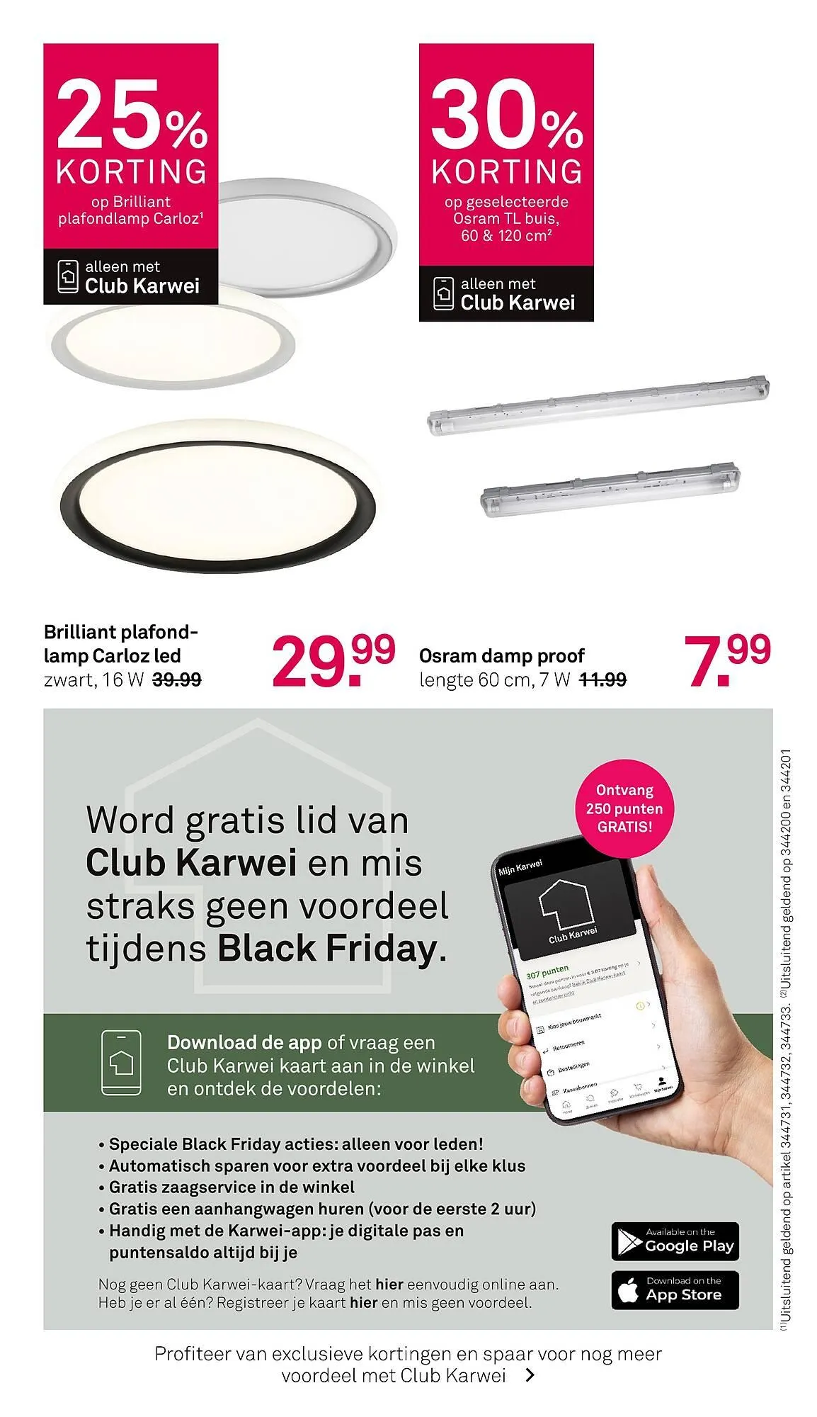 Karwei folder van 27 oktober tot 9 november 2025 - Folder pagina 8