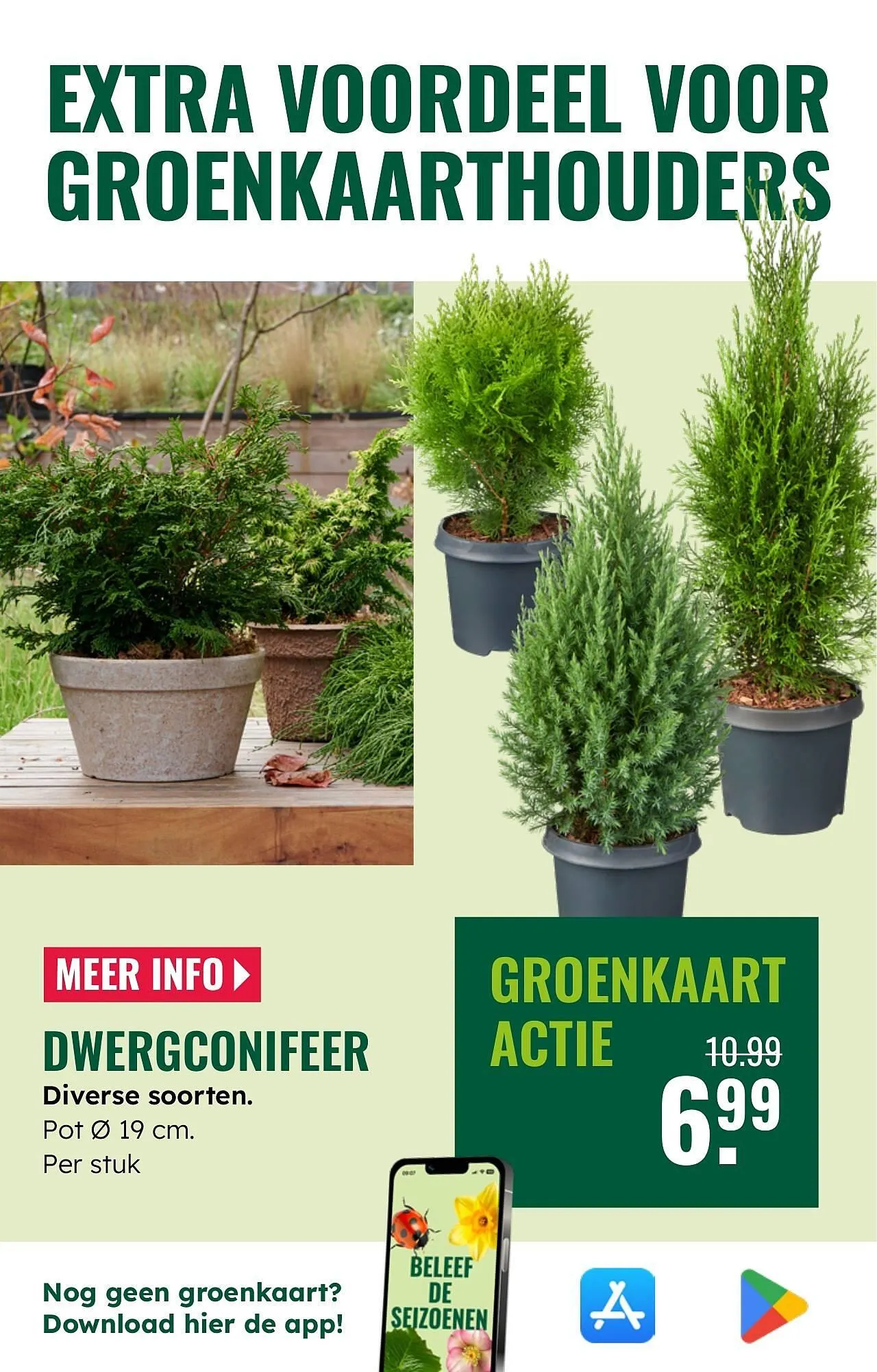 GroenRijk folder van 5 november tot 11 november 2025 - Folder pagina 7