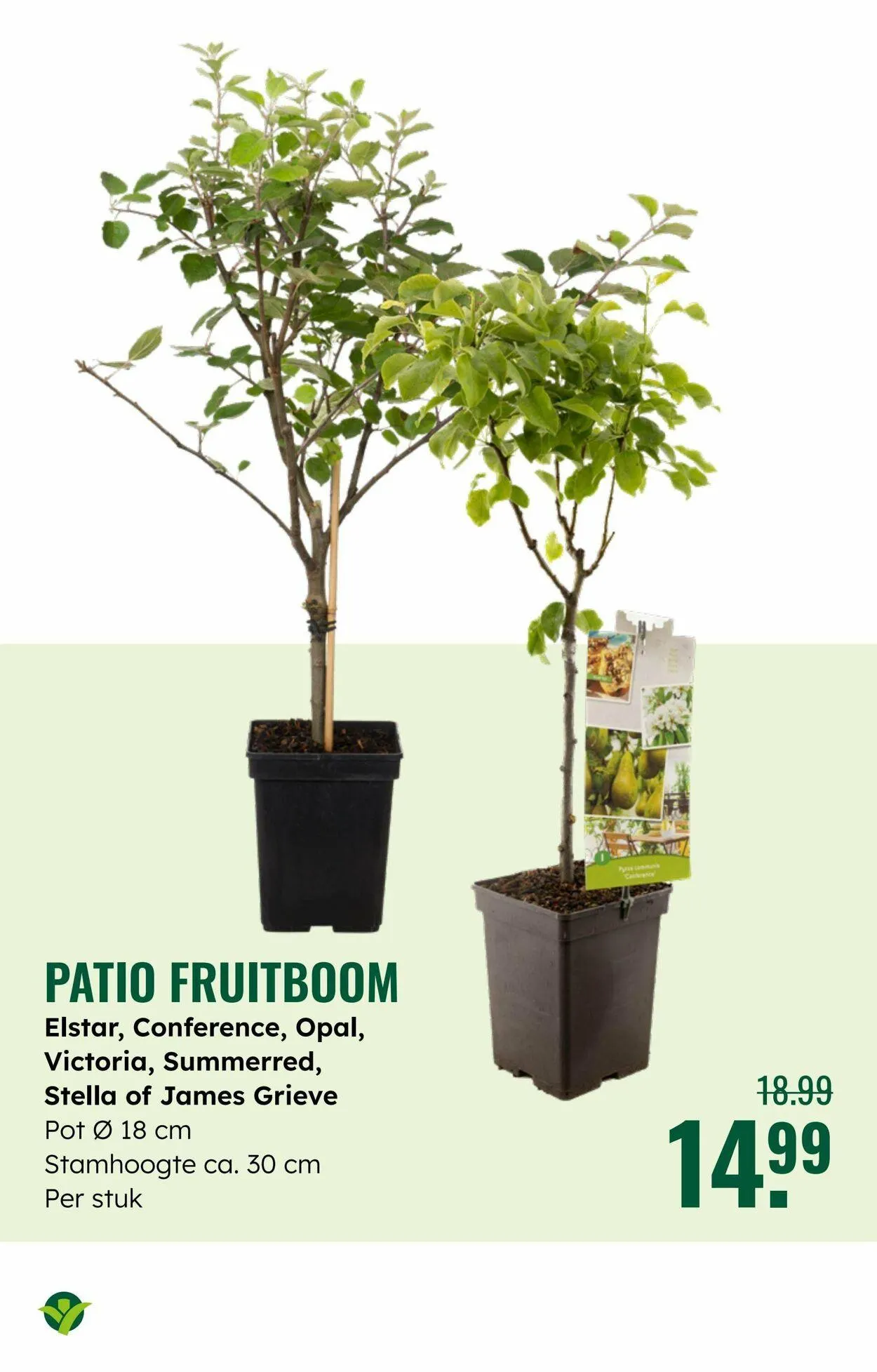 GroenRijk Actuele folder van 8 juli tot 22 juli 2025 - Folder pagina 25