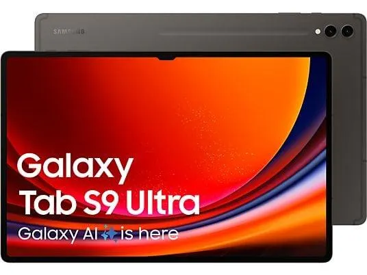 SAMSUNG Galaxy Tab S9 Ultra - 14.6 inch - 256 GB - Zwart - Wifi