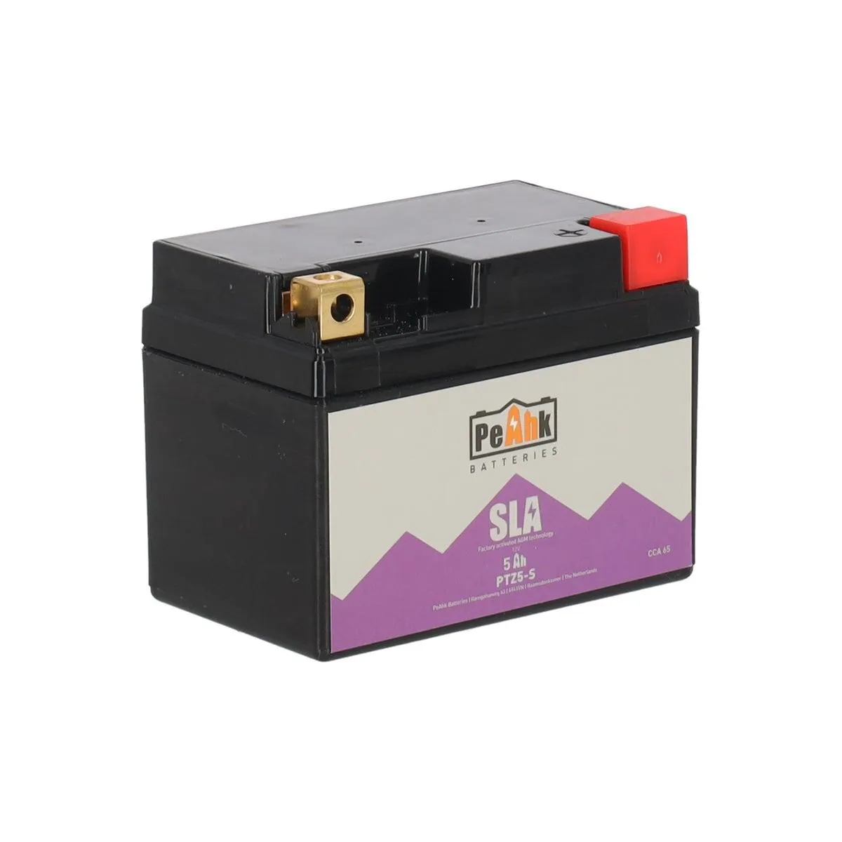 Accu scooter 12V 5Ah PTZ5-S PeAhk