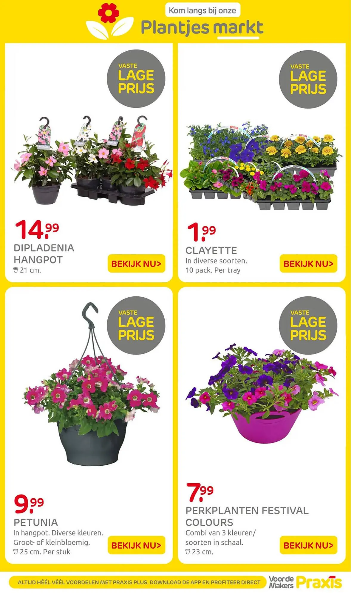 Praxis folder van 28 april tot 3 mei 2026 - Folder pagina 2