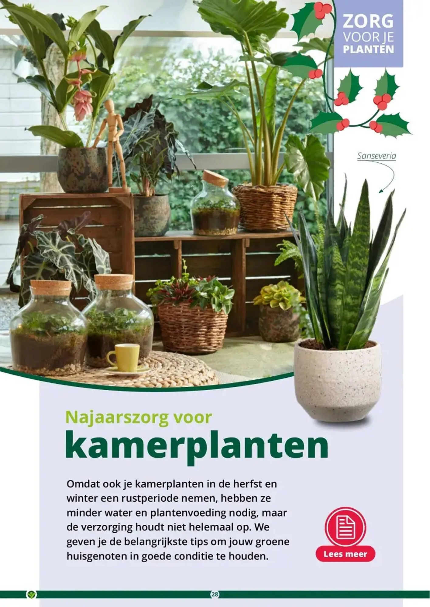 GroenRijk folder van 1 november tot 26 december 2023 - Folder pagina 28