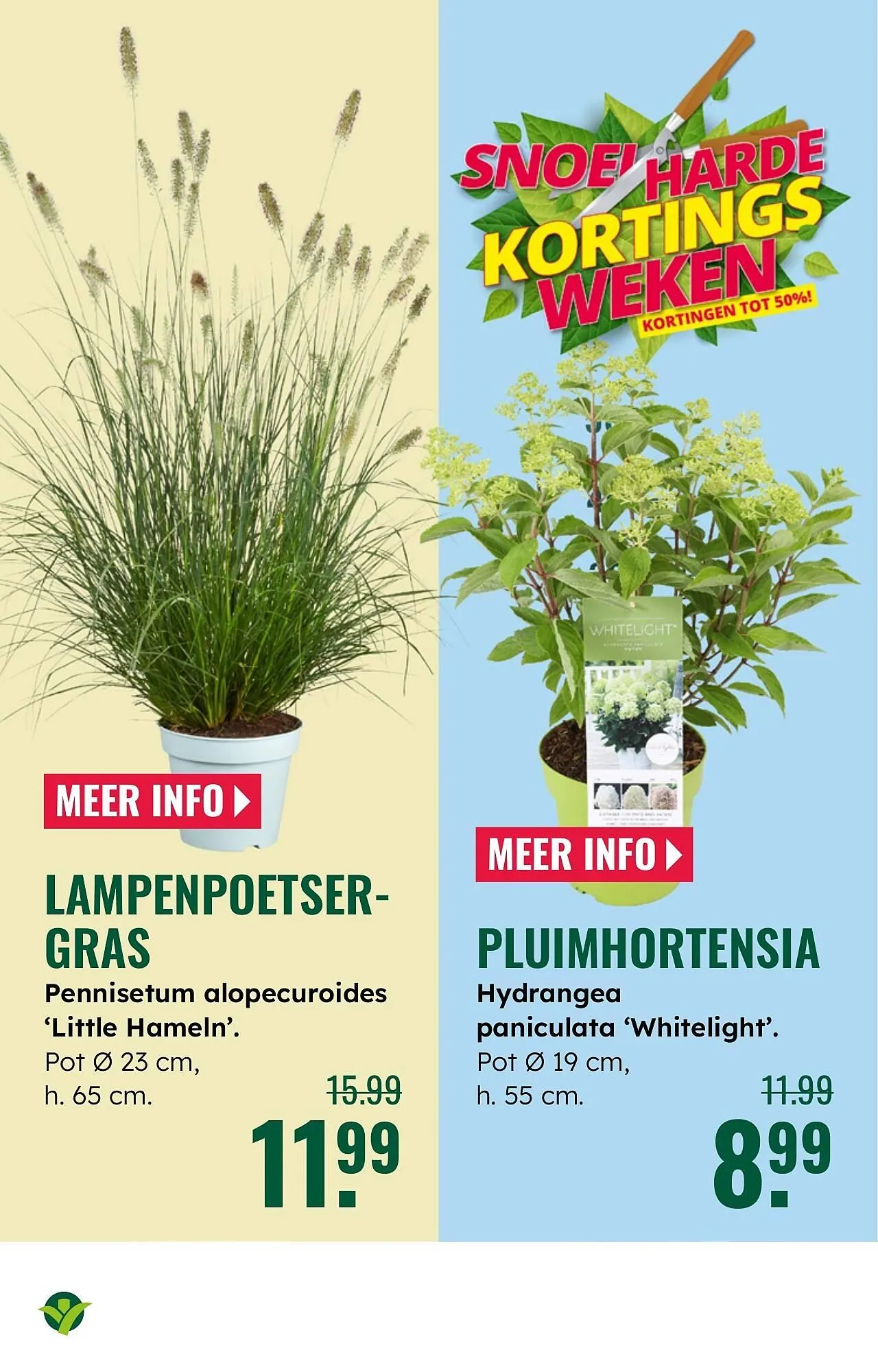 GroenRijk folder van 30 juli tot 12 augustus 2025 - Folder pagina 3