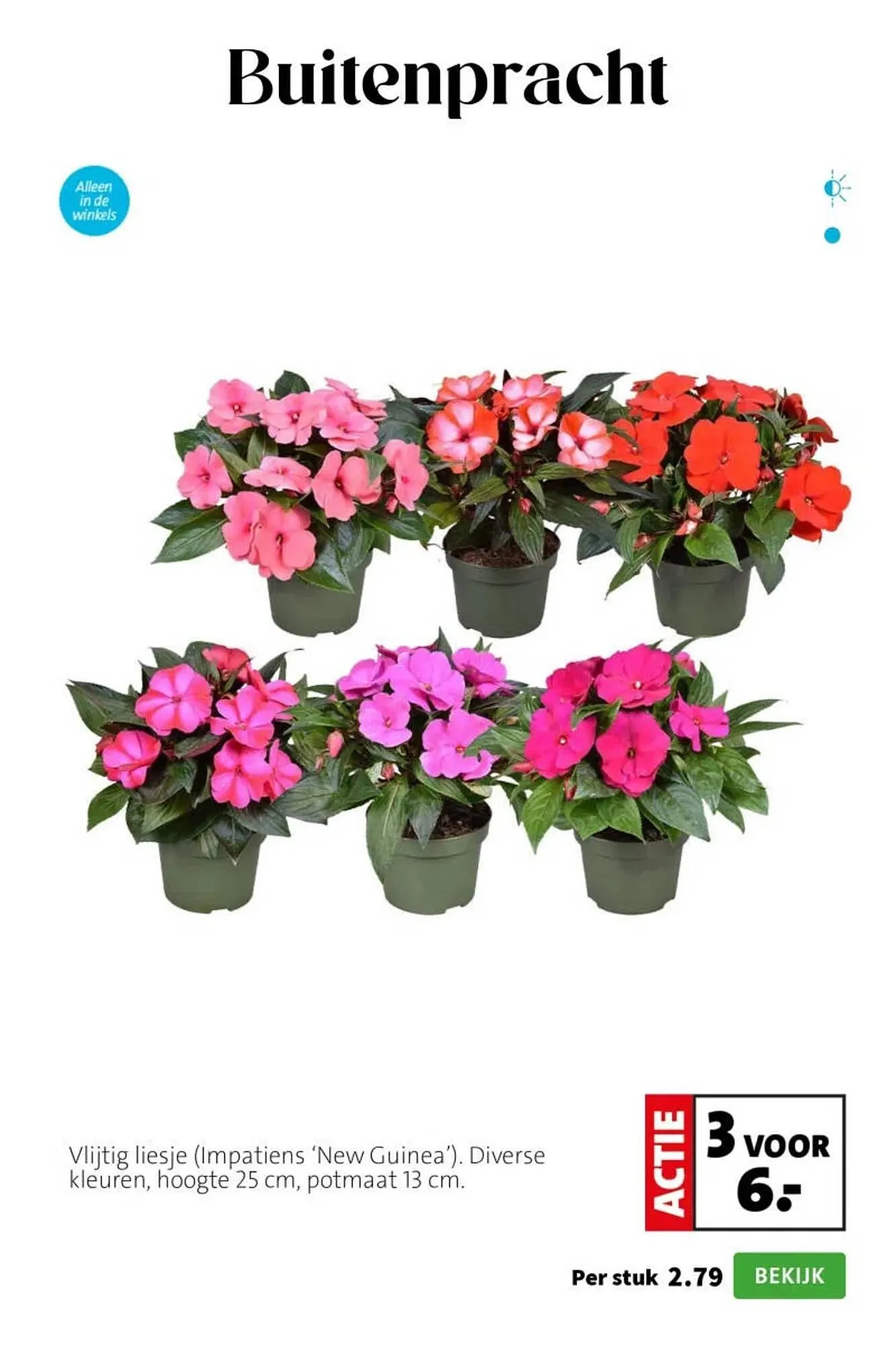 Intratuin folder van 6 april tot 12 april 2026 - Folder pagina 2