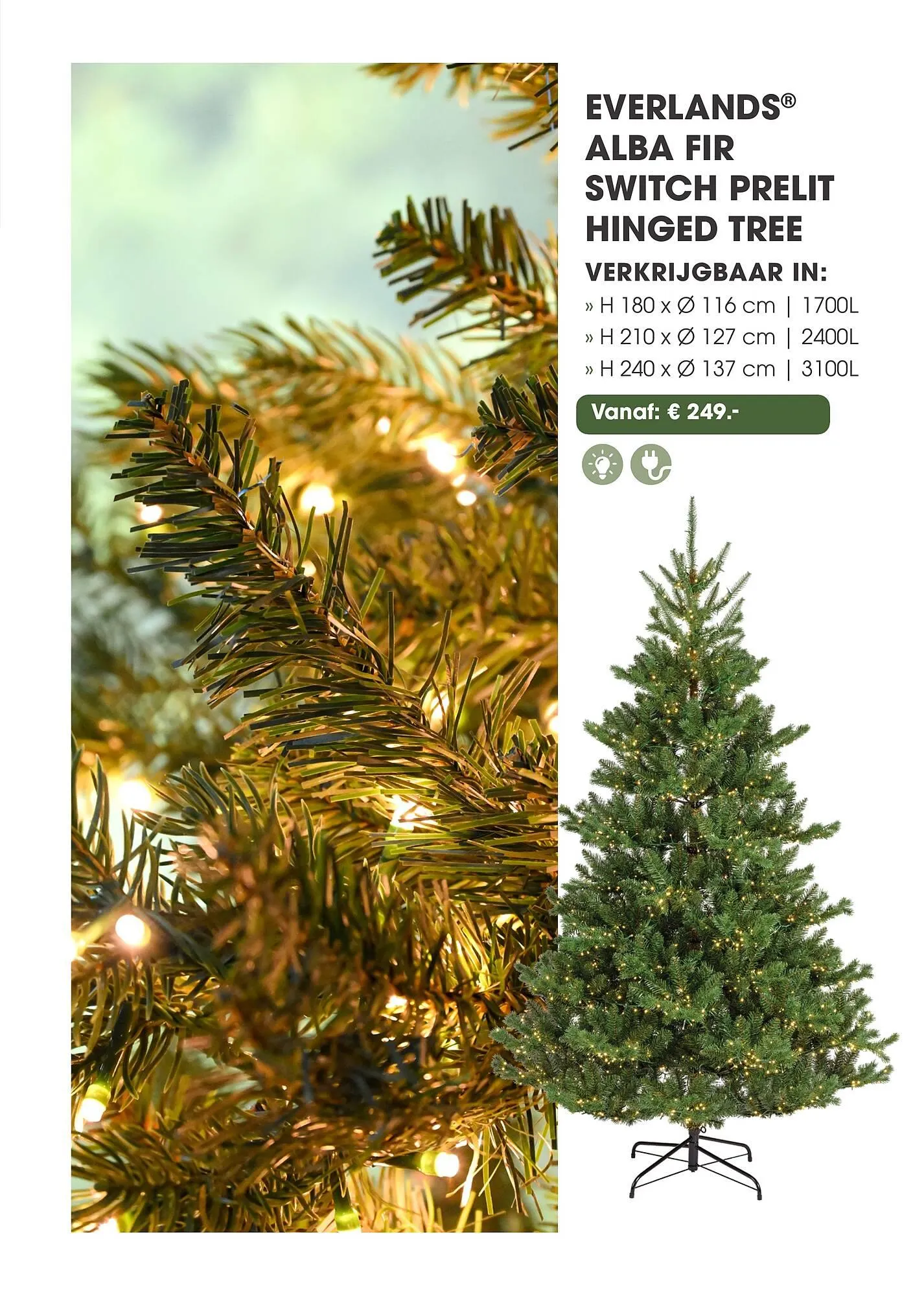 Coppelmans kerstbomencatalogus van 12 november tot 24 december 2025 - Folder pagina 26