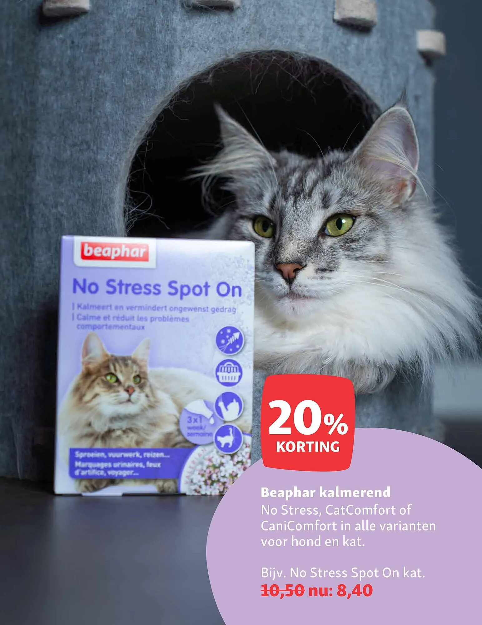 Maxi Zoo folder van 8 december tot 14 december 2025 - Folder pagina 9