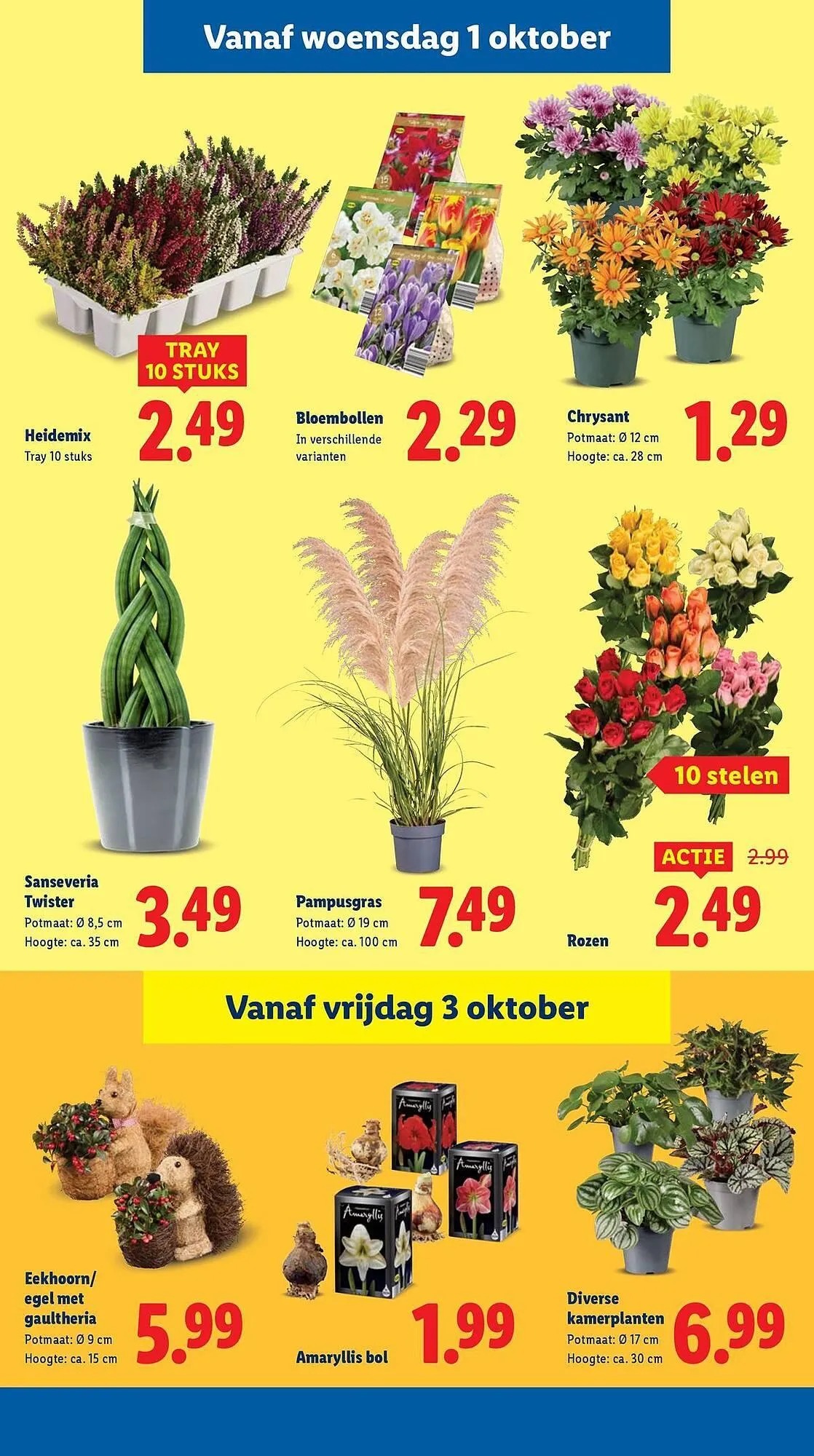 Lidl folder van 25 september tot 5 oktober 2025 - Folder pagina 21