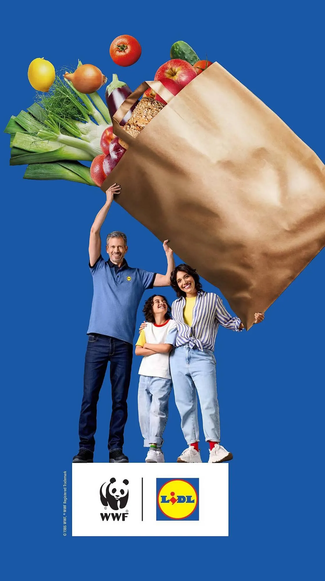 Lidl folder van 11 augustus tot 18 augustus 2025 - Folder pagina 37