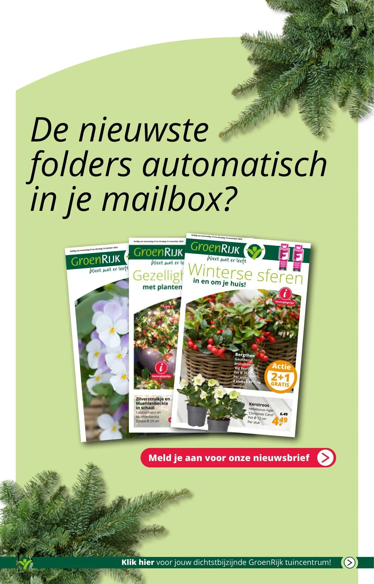 GroenRijk Actuele folder van 21 januari tot 4 februari 2025 - Folder pagina 5