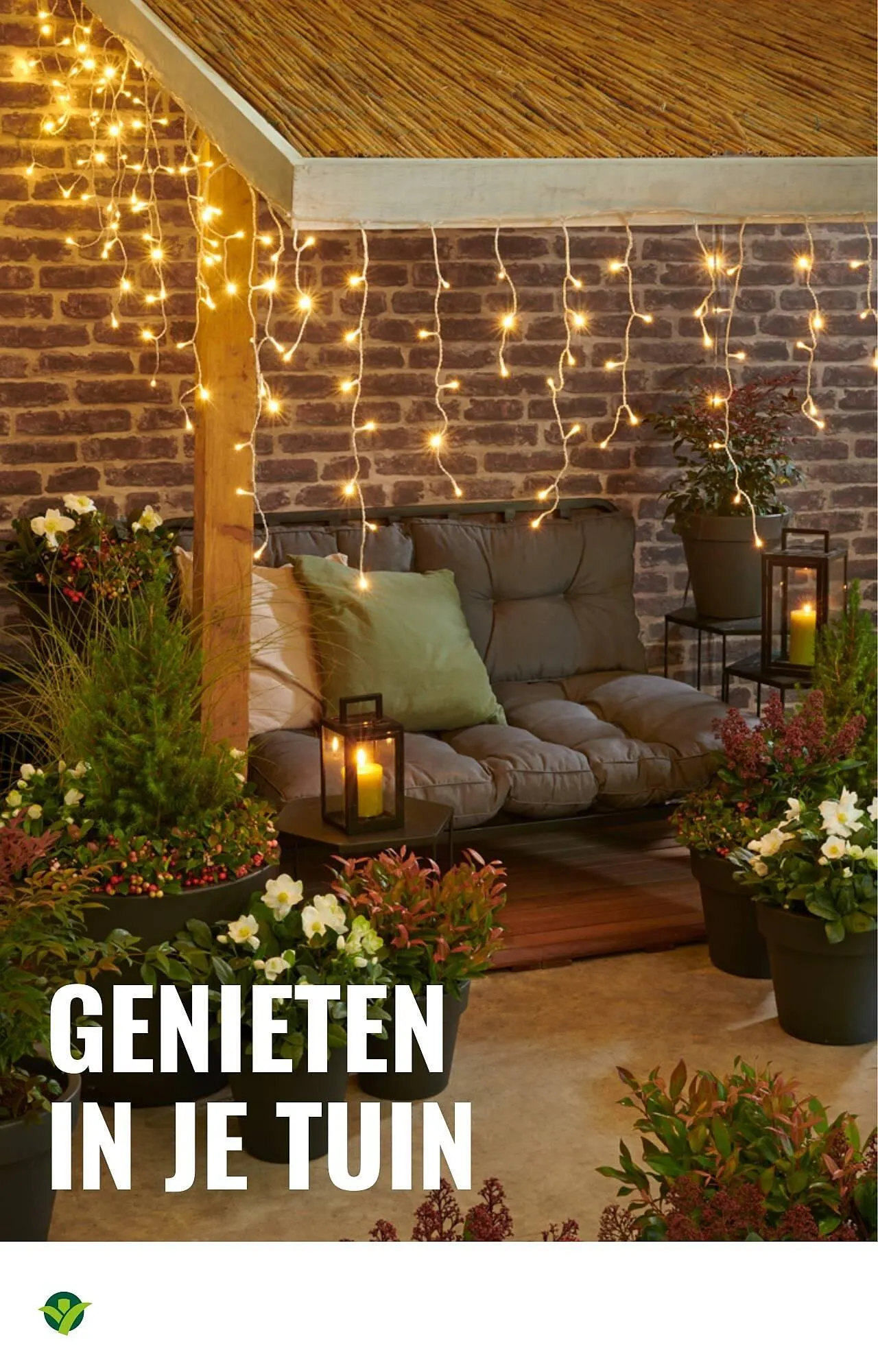 GroenRijk folder van 5 november tot 11 november 2025 - Folder pagina 14