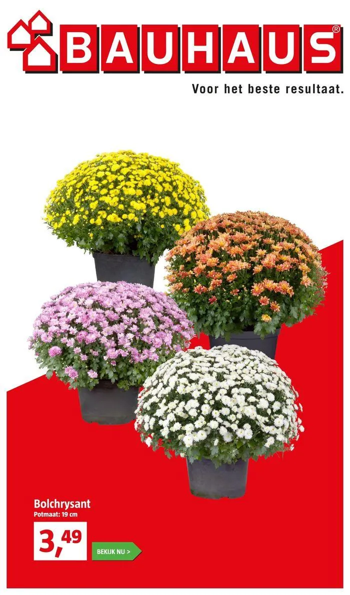 Bauhaus Voor het beste resultaat. - 1