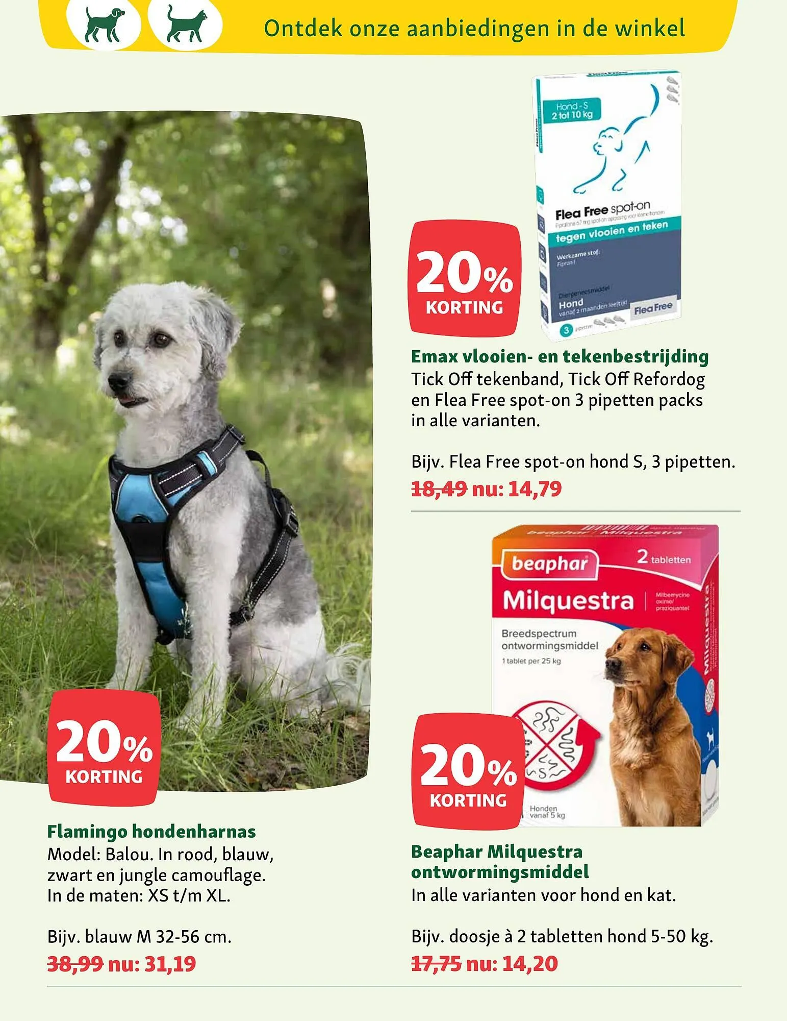 Maxi Zoo folder van 23 februari tot 1 maart 2026 - Folder pagina 8