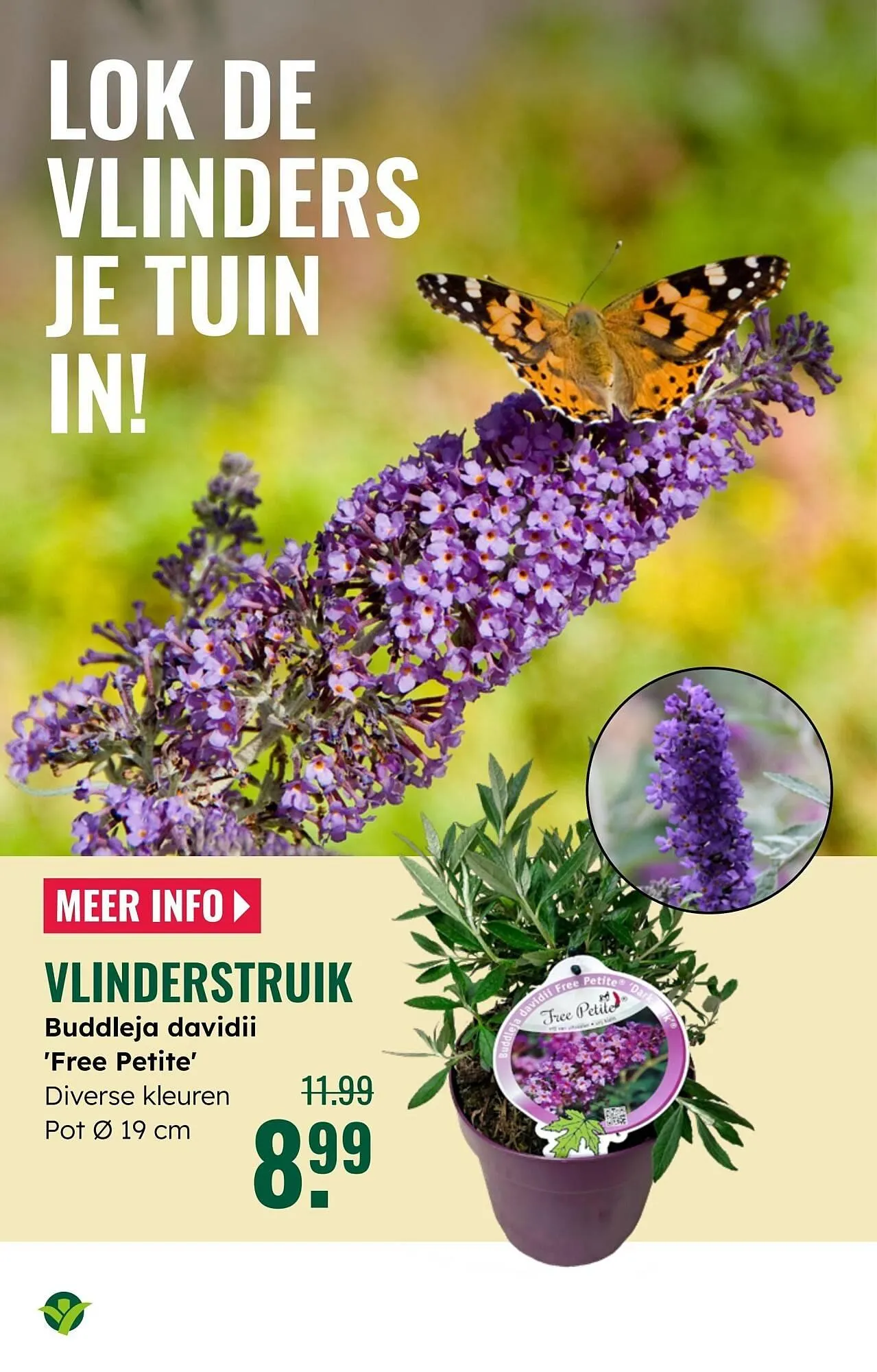 GroenRijk folder van 7 mei tot 13 mei 2025 - Folder pagina 16