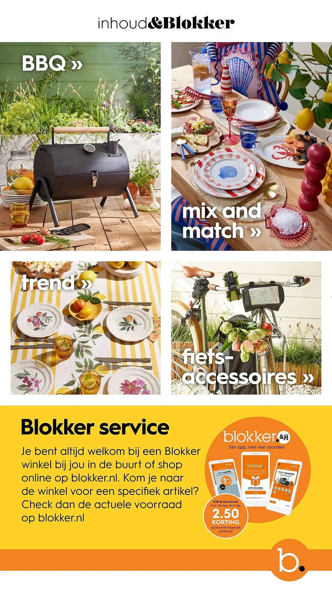 Blokker folder van 10 oktober tot 31 december 2024 - Folder pagina 2