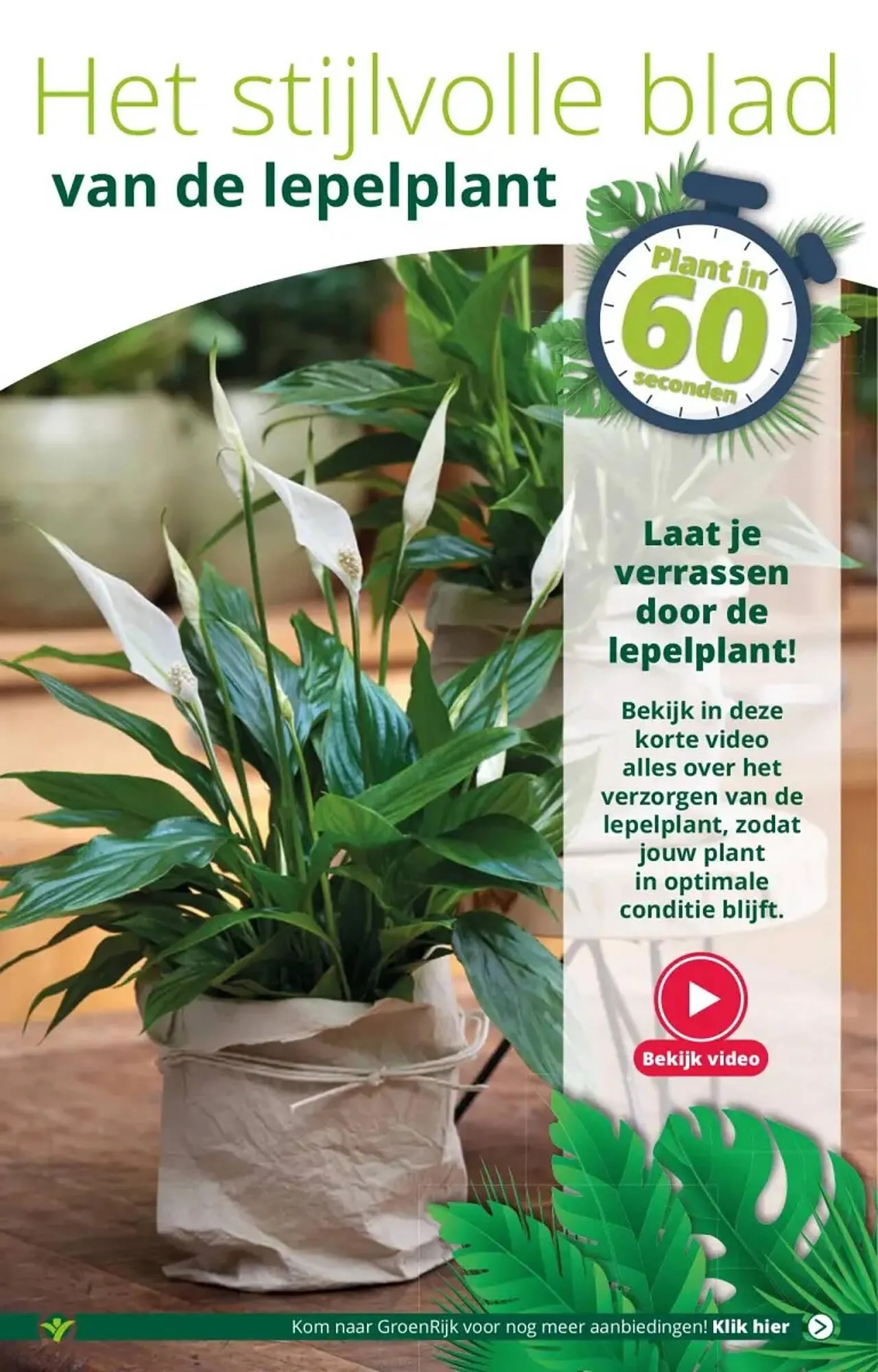 GroenRijk folder van 22 november tot 28 november 2023 - Folder pagina 3