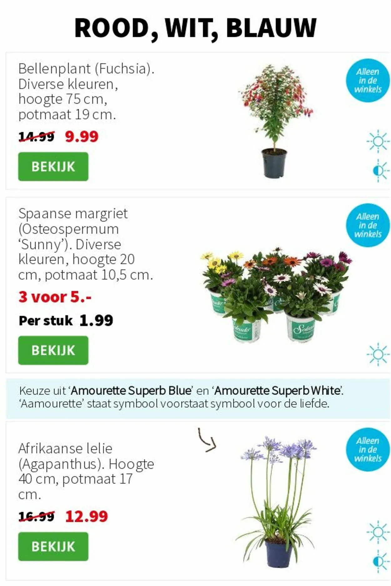 Intratuin Actuele folder van 17 augustus tot 31 augustus 2025 - Folder pagina 3