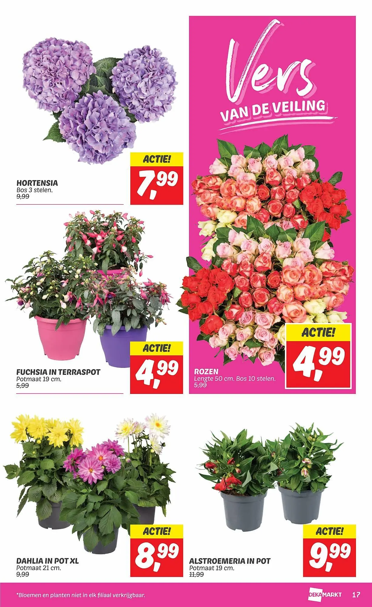 Dekamarkt folder van 28 mei tot 3 juni 2024 - Folder pagina 17