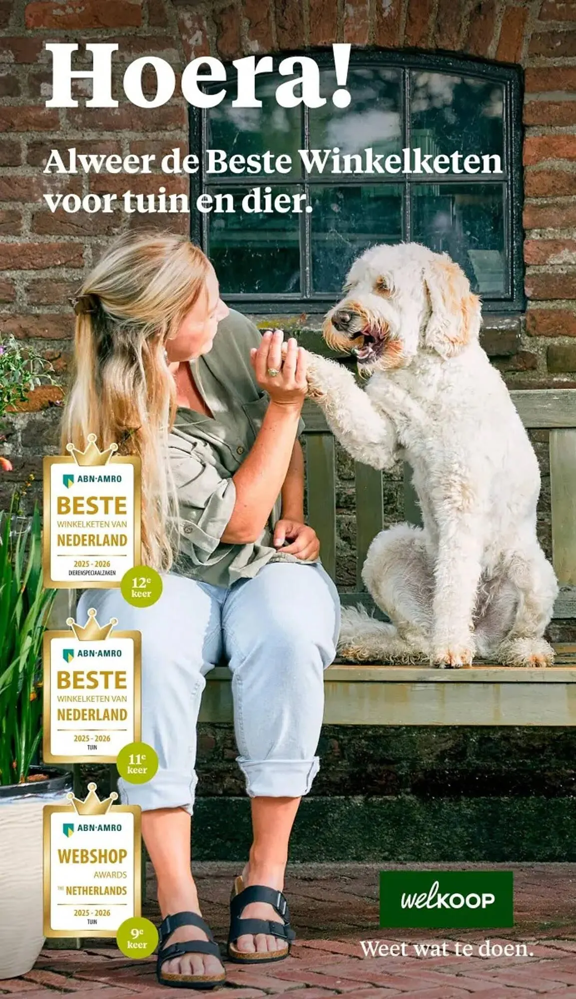 Welkoop folder van 10 november tot 23 november 2025 - Folder pagina 36