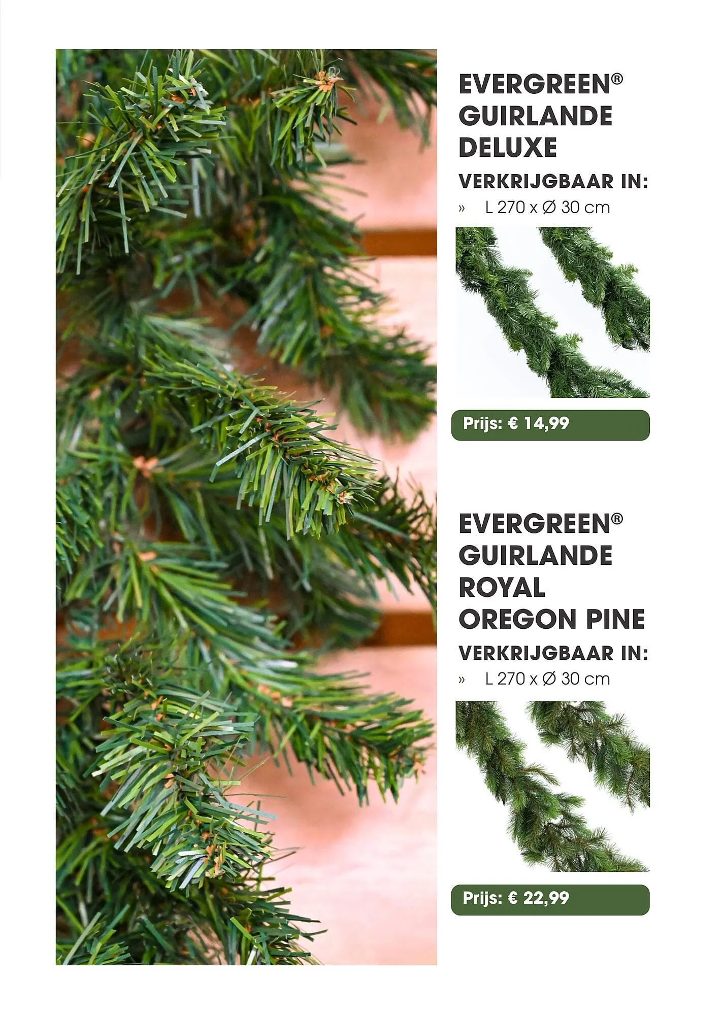 Coppelmans kerstbomencatalogus van 12 november tot 24 december 2025 - Folder pagina 44