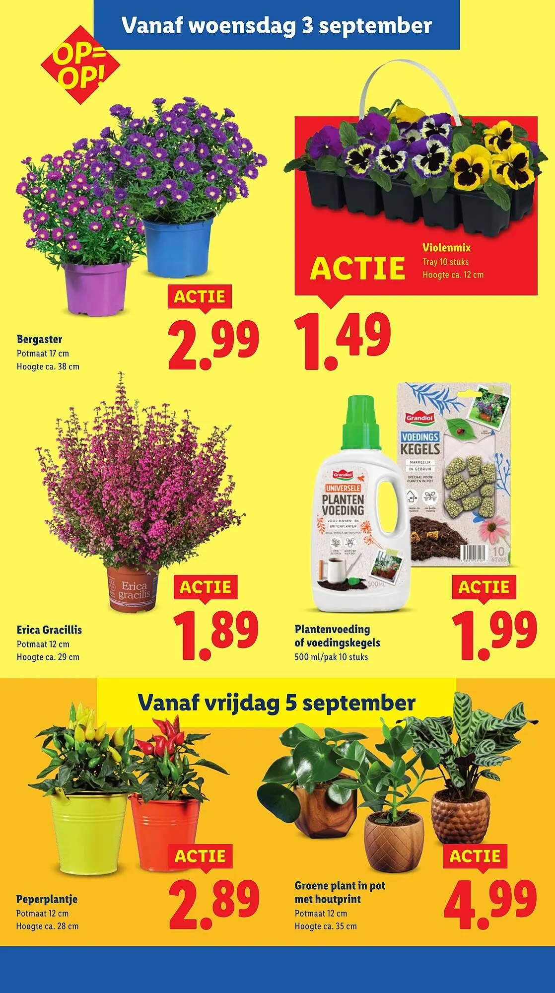 Lidl folder van 1 september tot 8 september 2025 - Folder pagina 29