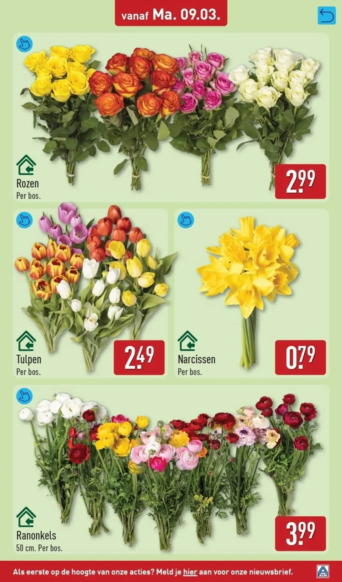 ALDI folder van 9 maart tot 15 maart 2026 - Folder pagina 37