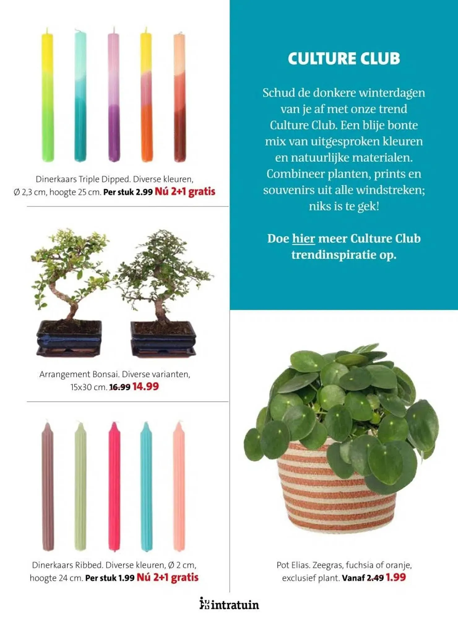 Intratuin folder van 17 februari tot 23 februari 2025 - Folder pagina 11