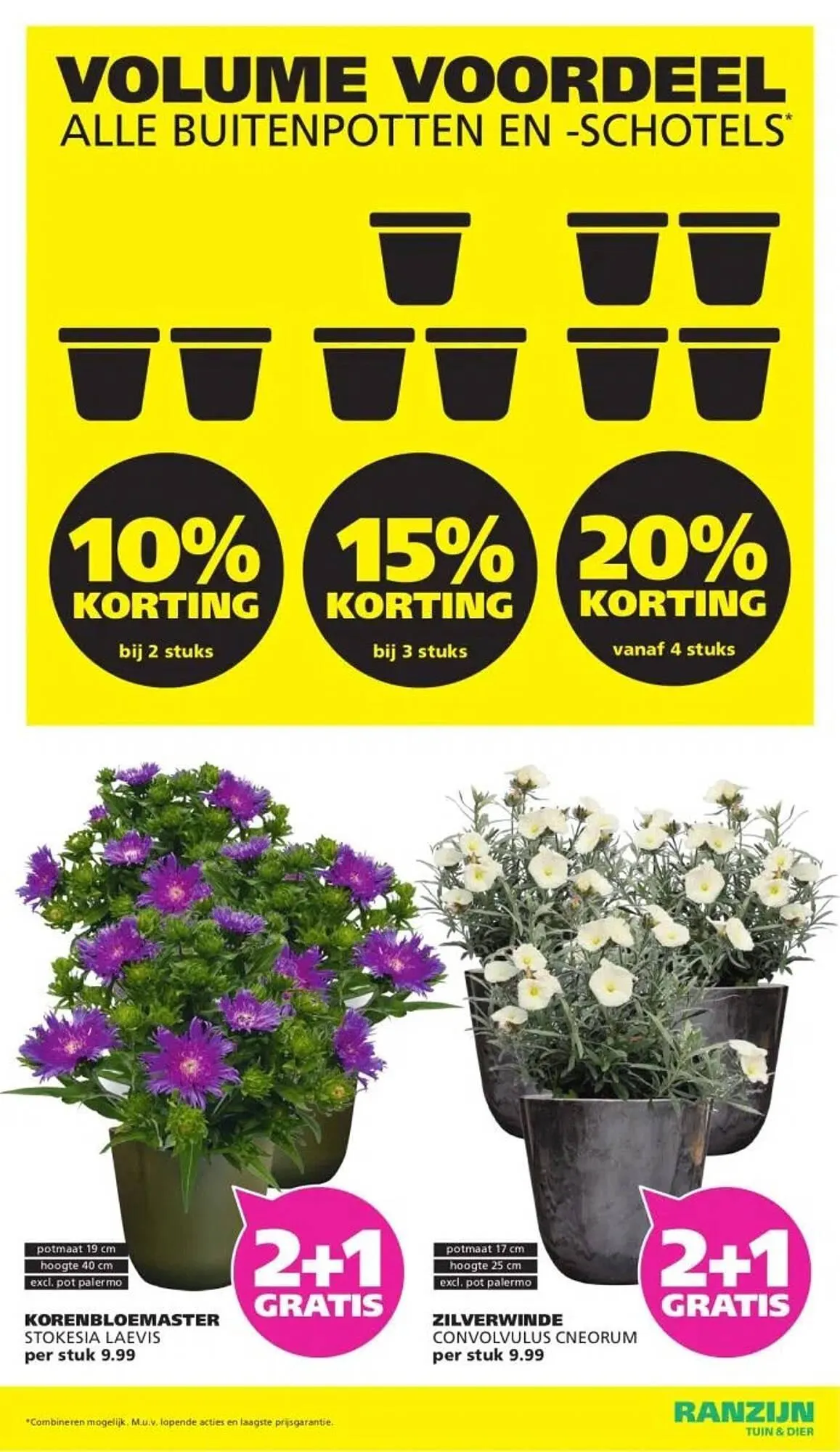 Ranzijn folder van 27 juli tot 9 augustus 2025 - Folder pagina 13