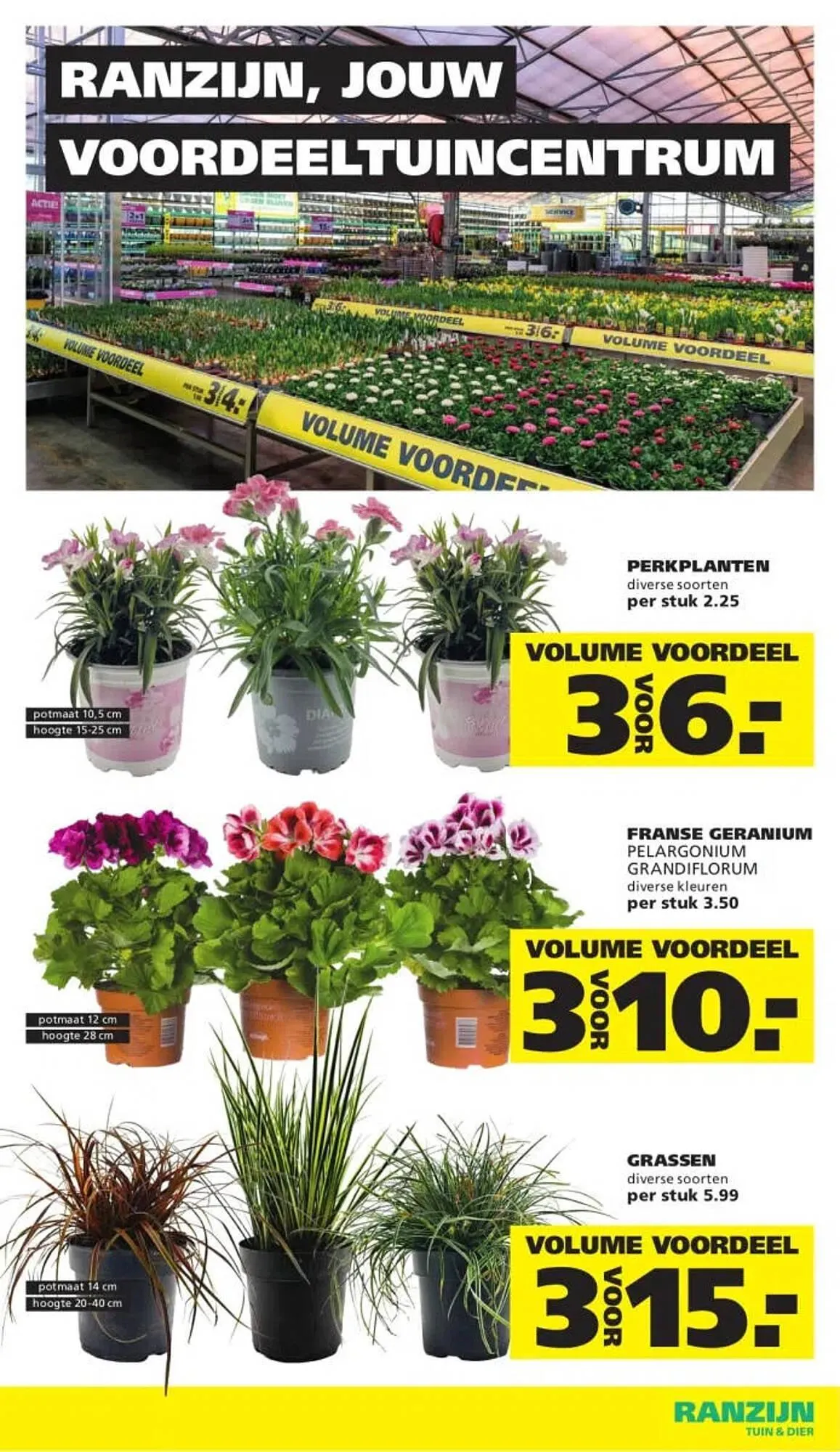 Ranzijn folder van 12 april tot 25 april 2026 - Folder pagina 5