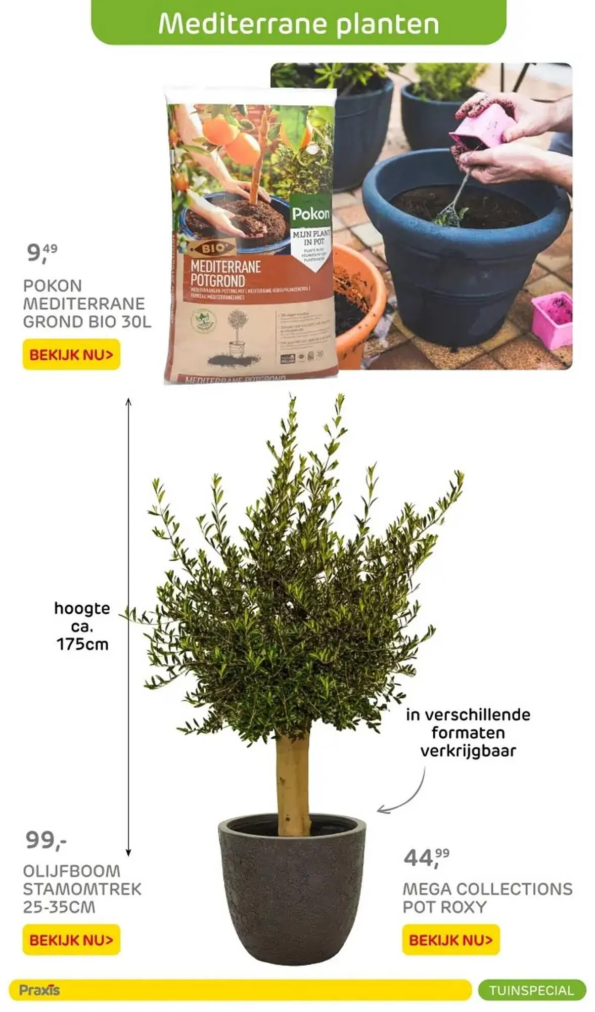 Praxis folder van 7 maart tot 31 augustus 2025 - Folder pagina 39