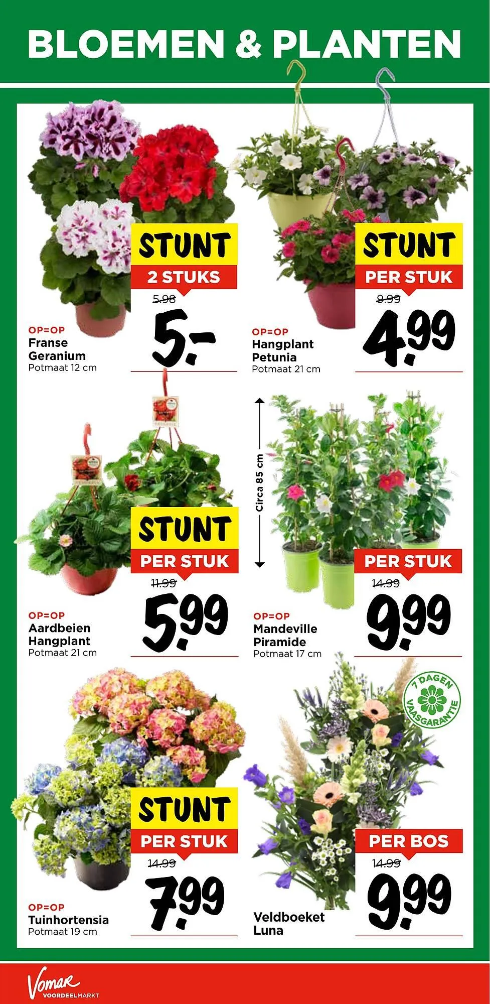 Vomar folder van 11 mei tot 17 mei 2025 - Folder pagina 34