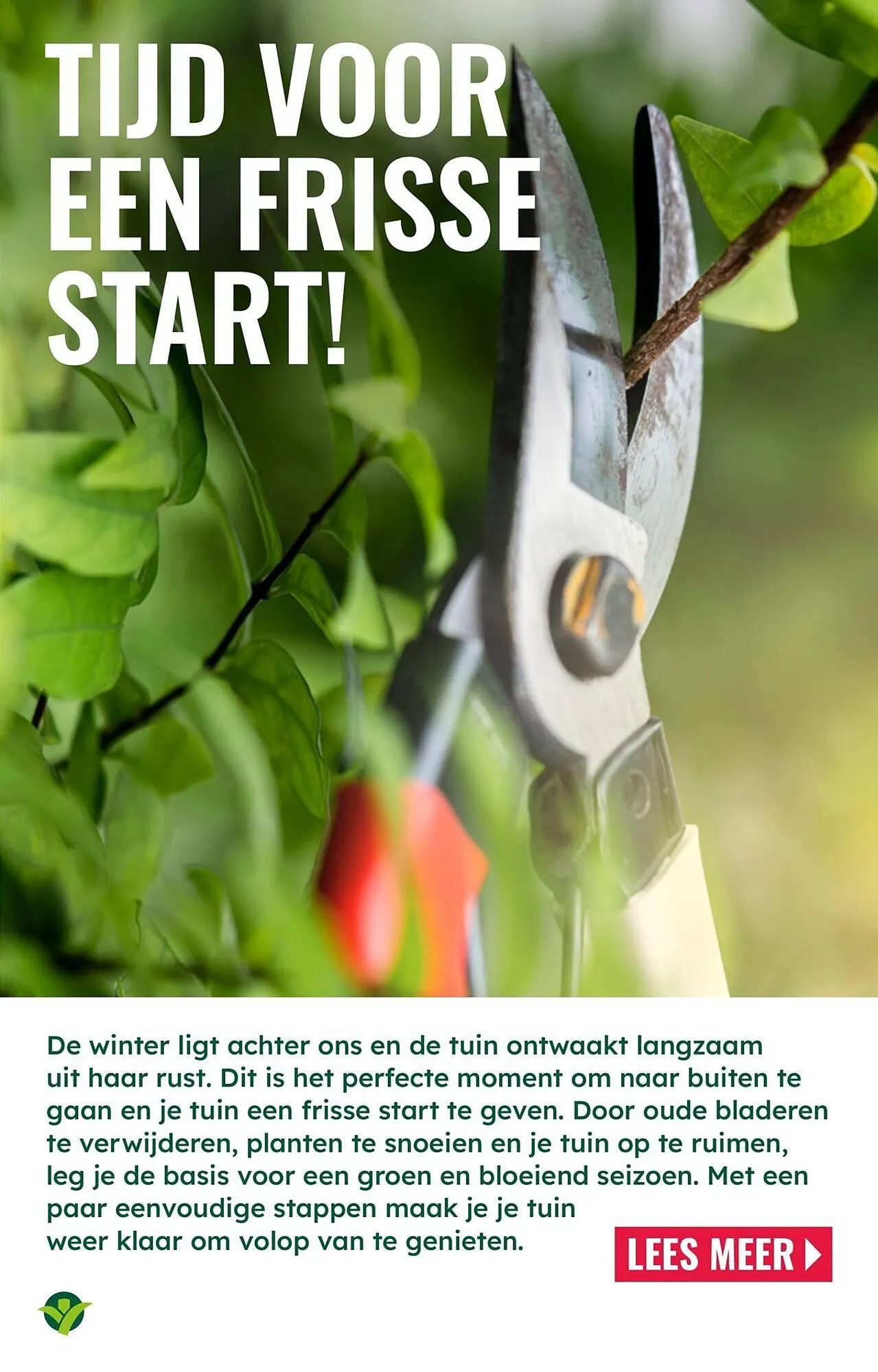 GroenRijk folder van 18 maart tot 1 april 2026 - Folder pagina 2