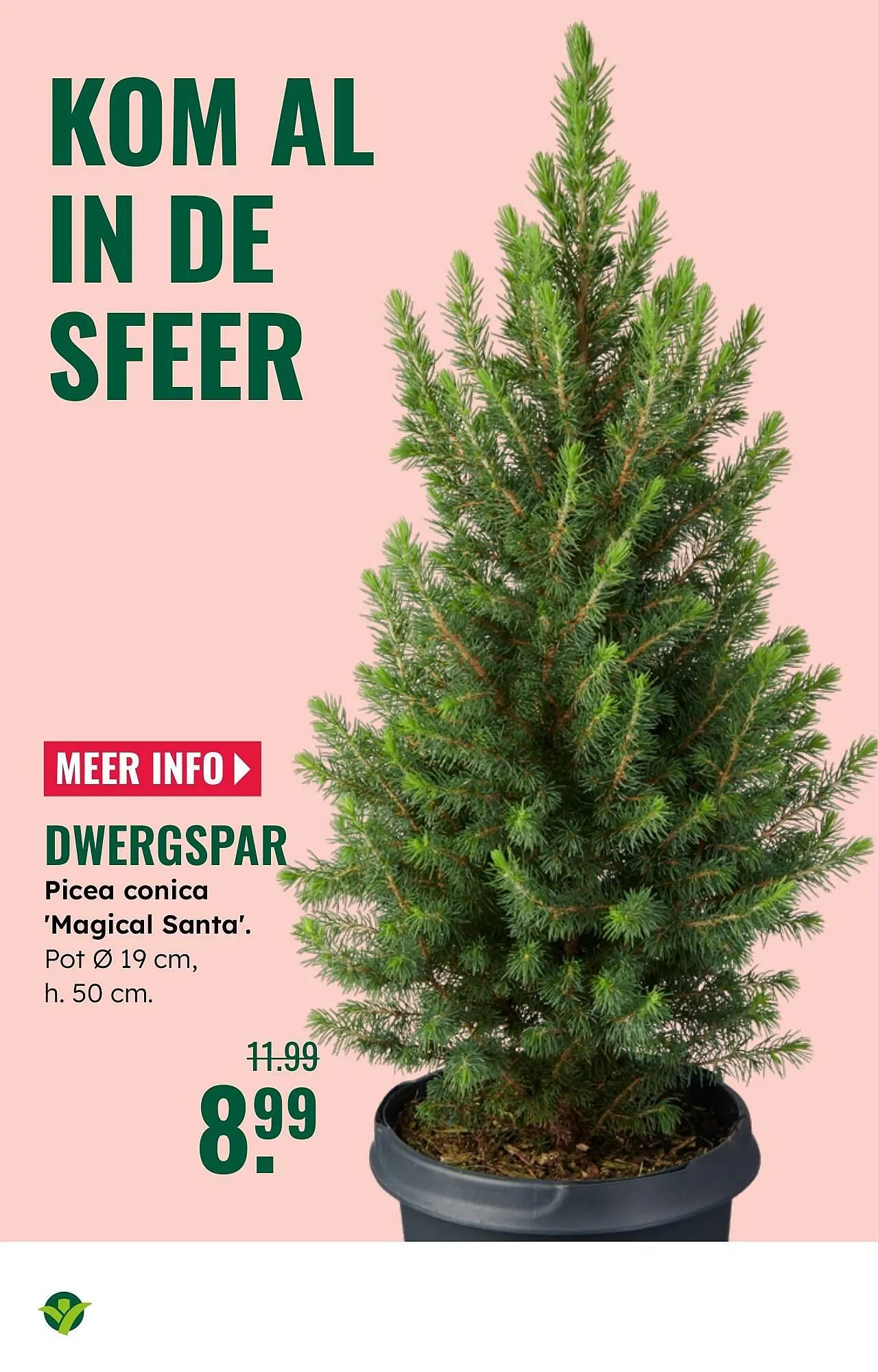 GroenRijk folder van 5 november tot 11 november 2025 - Folder pagina 3