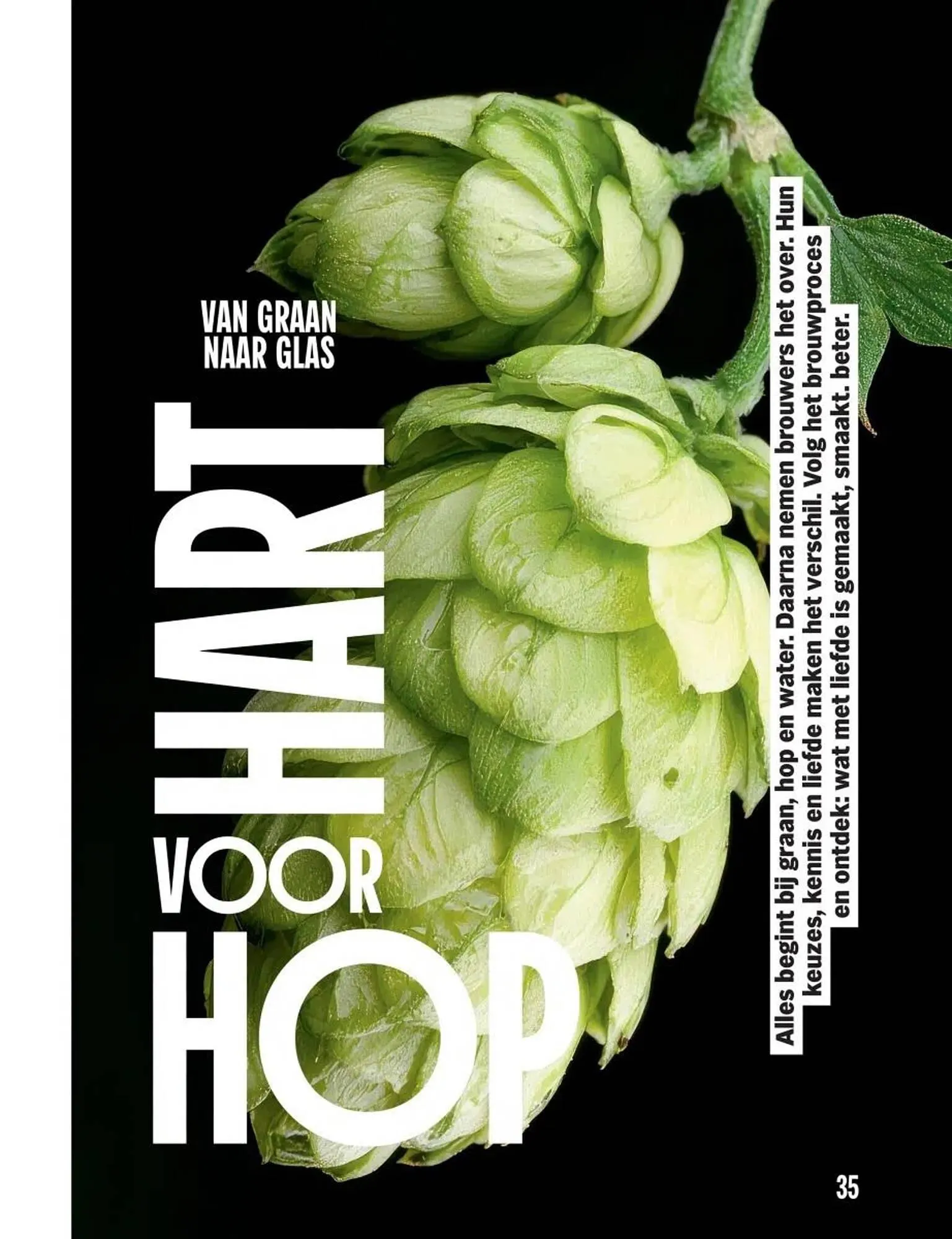 Albert Heijn folder van 27 oktober tot 23 november 2025 - Folder pagina 35