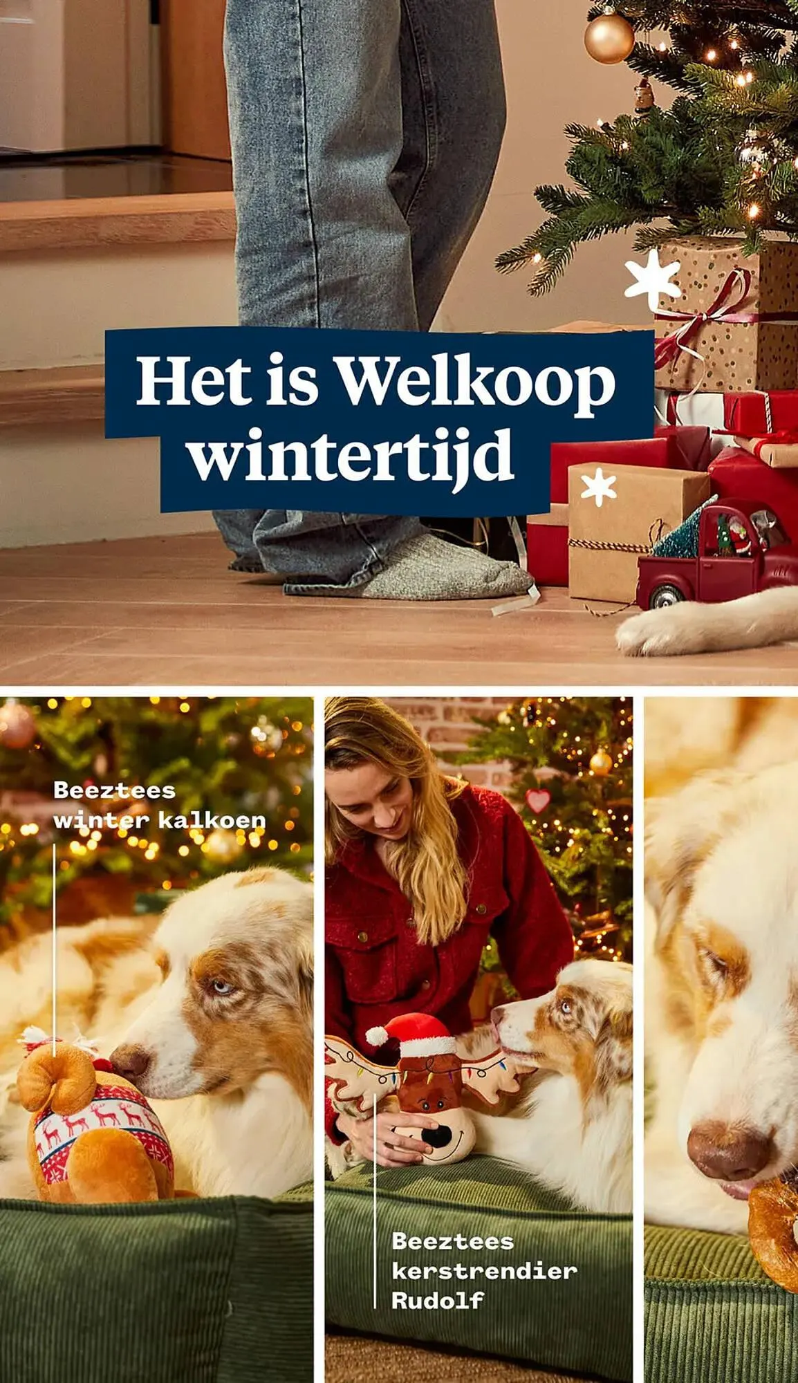 Welkoop folder van 24 november tot 7 december 2025 - Folder pagina 2
