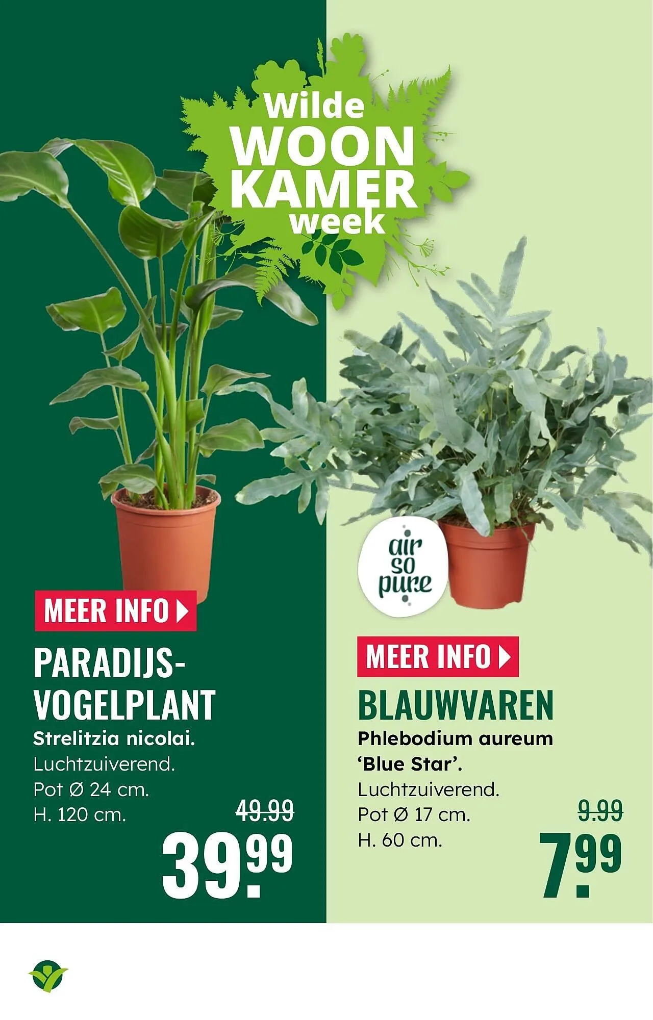 GroenRijk folder van 1 oktober tot 7 oktober 2025 - Folder pagina 5