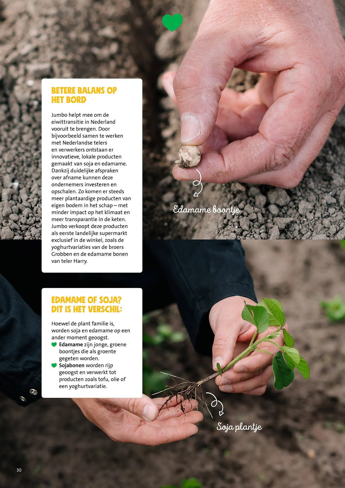 Jumbo folder van 30 juni tot 7 juli 2025 - Folder pagina 30