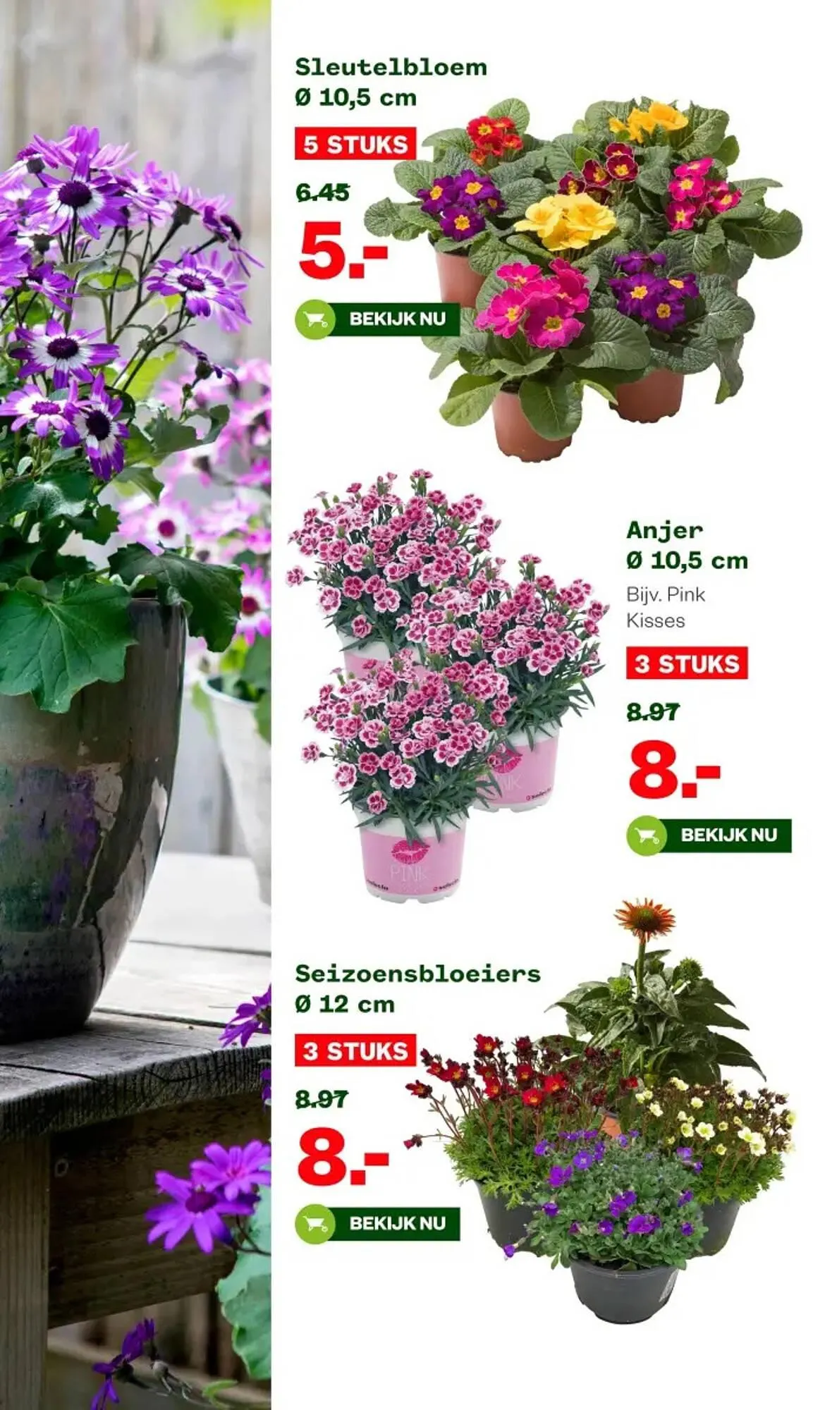 Welkoop folder van 17 maart tot 30 maart 2025 - Folder pagina 2