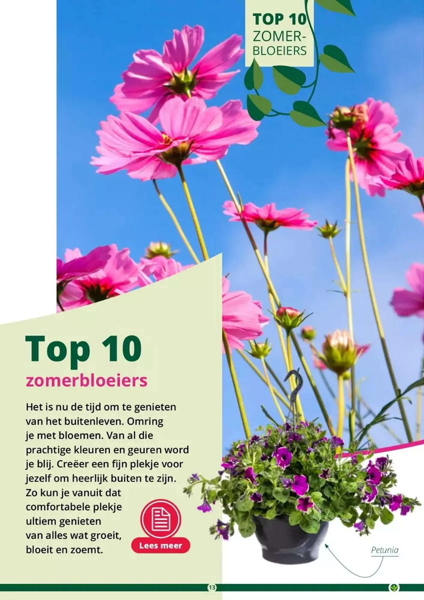 GroenRijk folder van 17 mei tot 31 augustus 2023 - Folder pagina 13