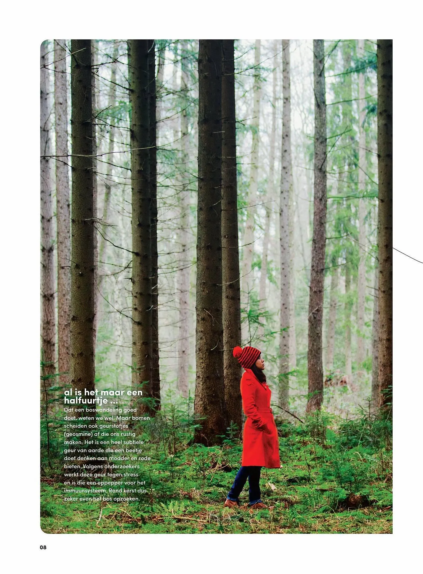 DA folder van 13 november tot 31 december 2023 - Folder pagina 8