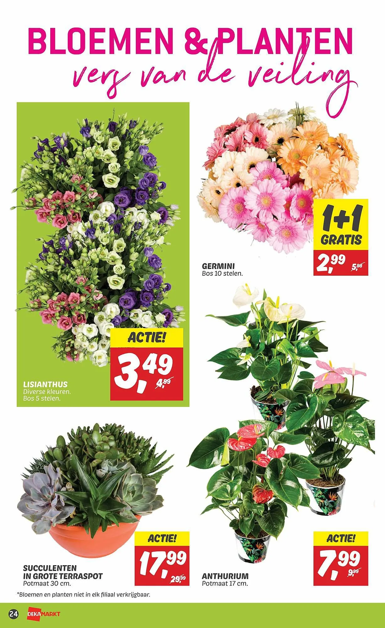 Dekamarkt folder week 34 van 20 augustus tot 26 augustus 2023 - Folder pagina 24