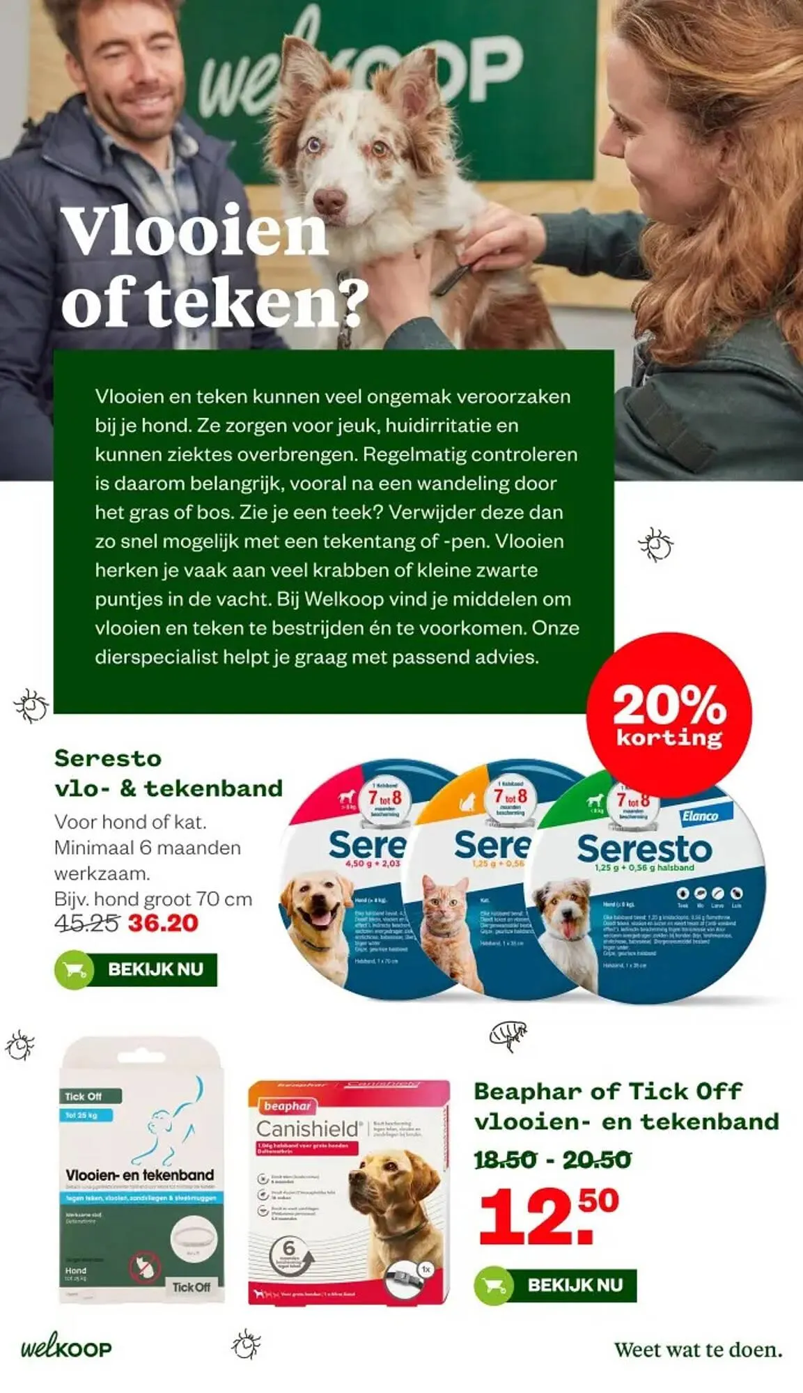 Welkoop folder van 16 maart tot 29 maart 2026 - Folder pagina 33